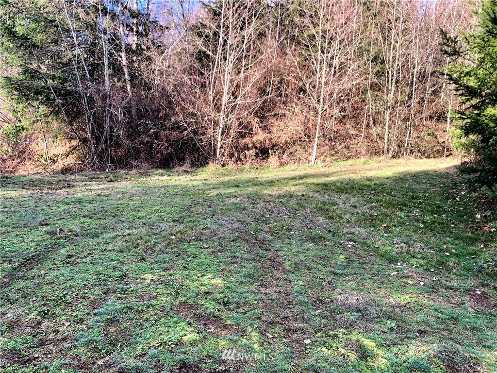 0 Evergreen Road Kelso, WA 98626 - Photo 1 of 14 Gallery Image 1