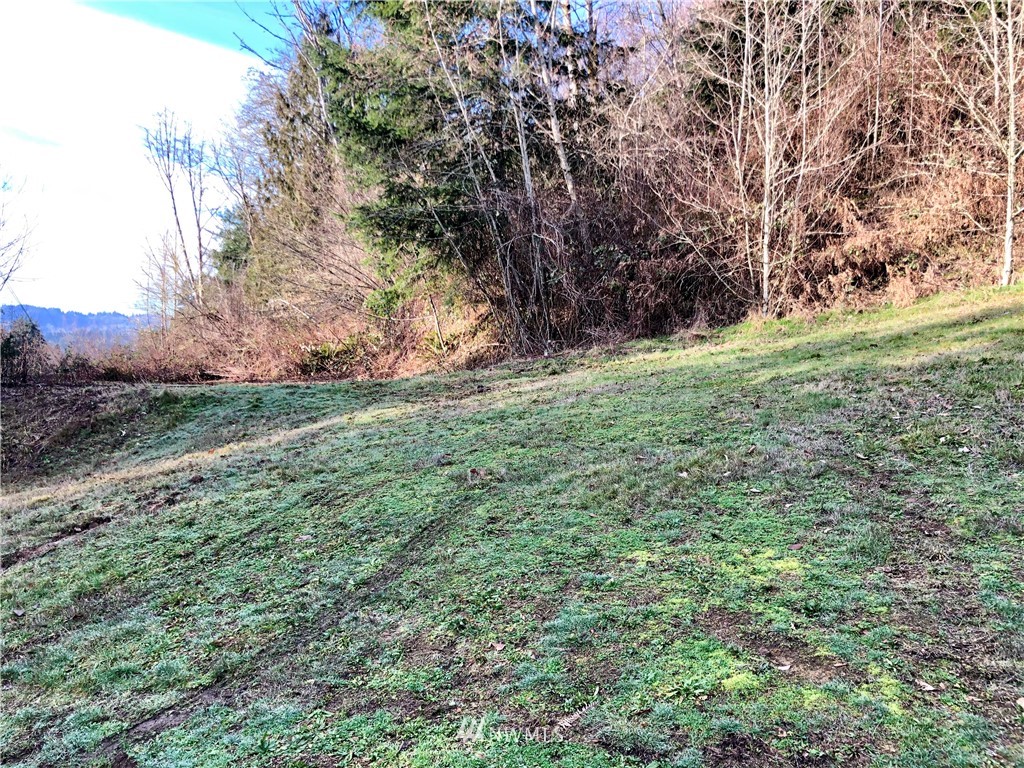 0 Evergreen Road Kelso, WA 98626 - Photo 11 of 14 Gallery Image 11