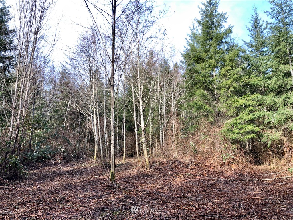 0 Evergreen Road Kelso, WA 98626 - Photo 13 of 14 Gallery Image 13