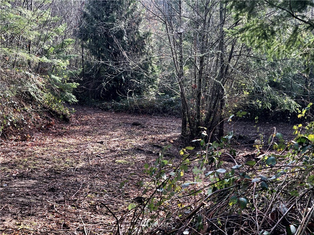 0 Evergreen Road Kelso, WA 98626 - Photo 9 of 14 Gallery Image 9