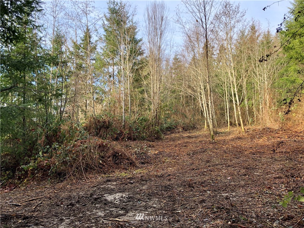 0 Evergreen Road Kelso, WA 98626 - Photo 10 of 14 Gallery Image 10