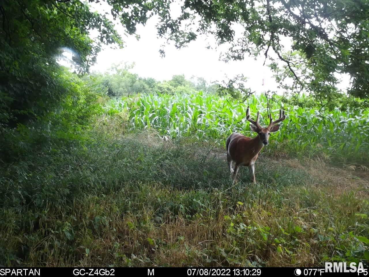 0 East Sand Road Lewistown, IL 61542 - Photo 27 of 87 Gallery Image 27