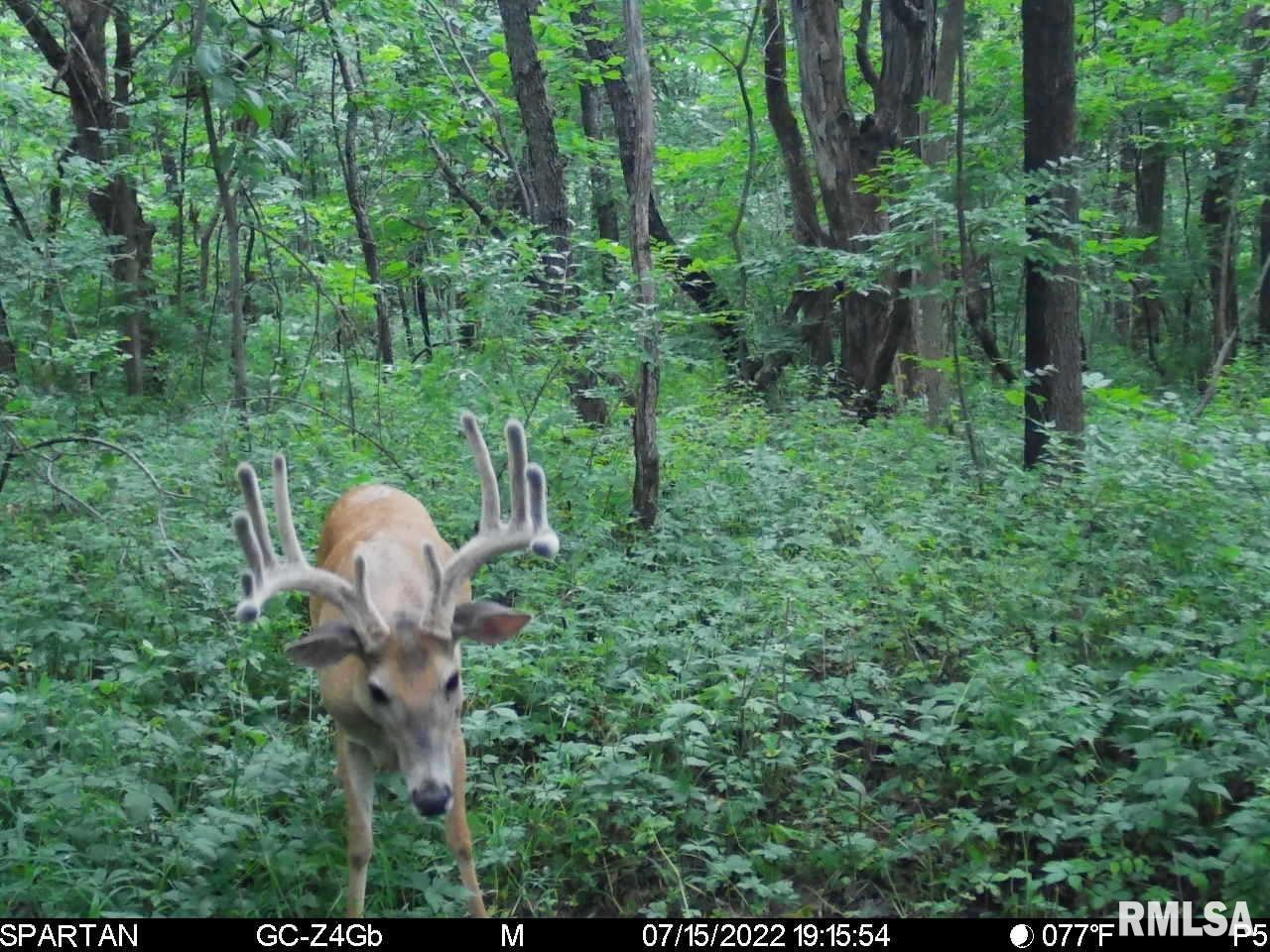 0 East Sand Road Lewistown, IL 61542 - Photo 28 of 87 Gallery Image 28