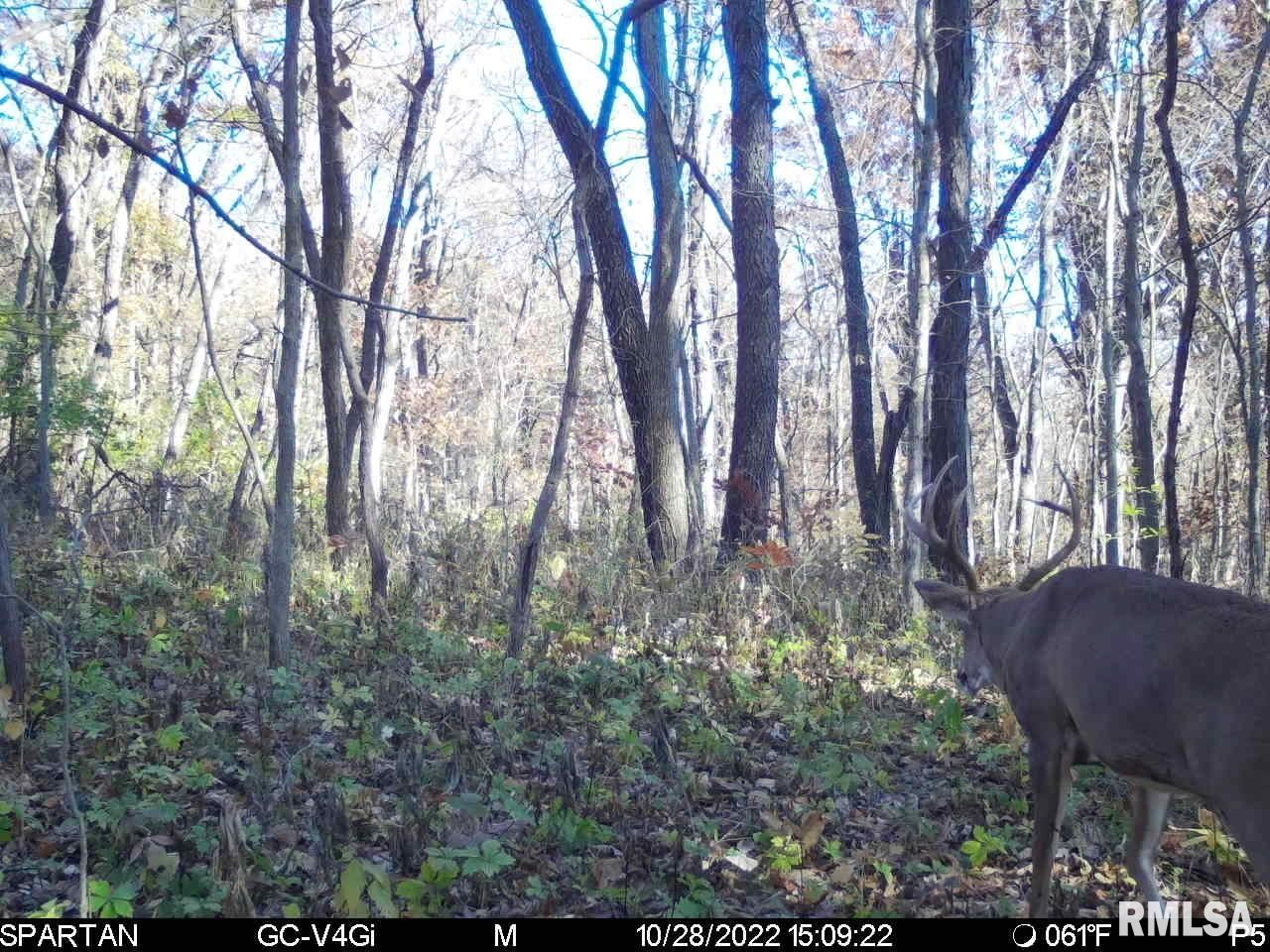 0 East Sand Road Lewistown, IL 61542 - Photo 35 of 87 Gallery Image 35