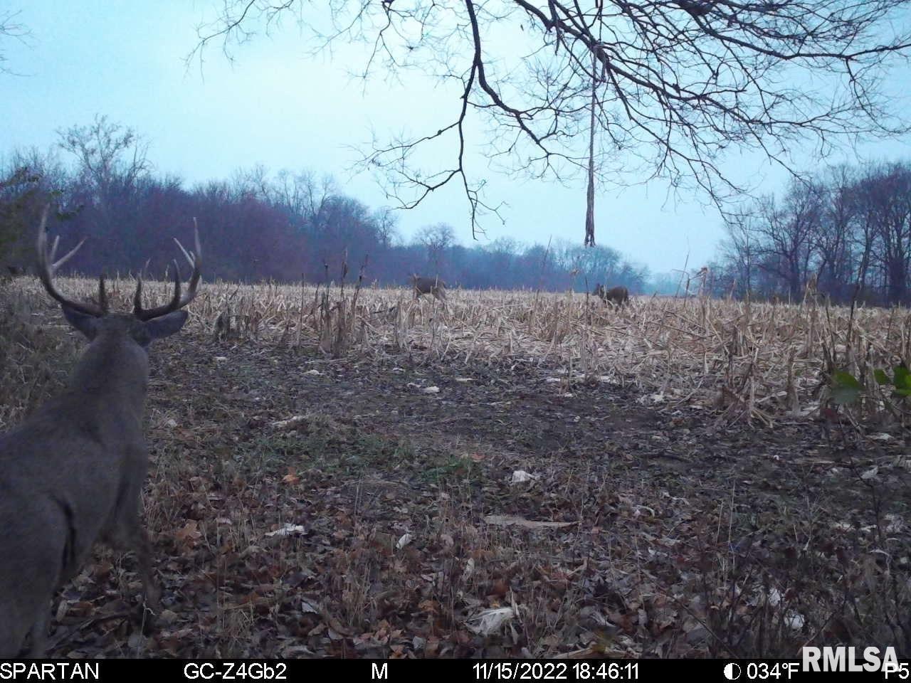 0 East Sand Road Lewistown, IL 61542 - Photo 40 of 87 Gallery Image 40