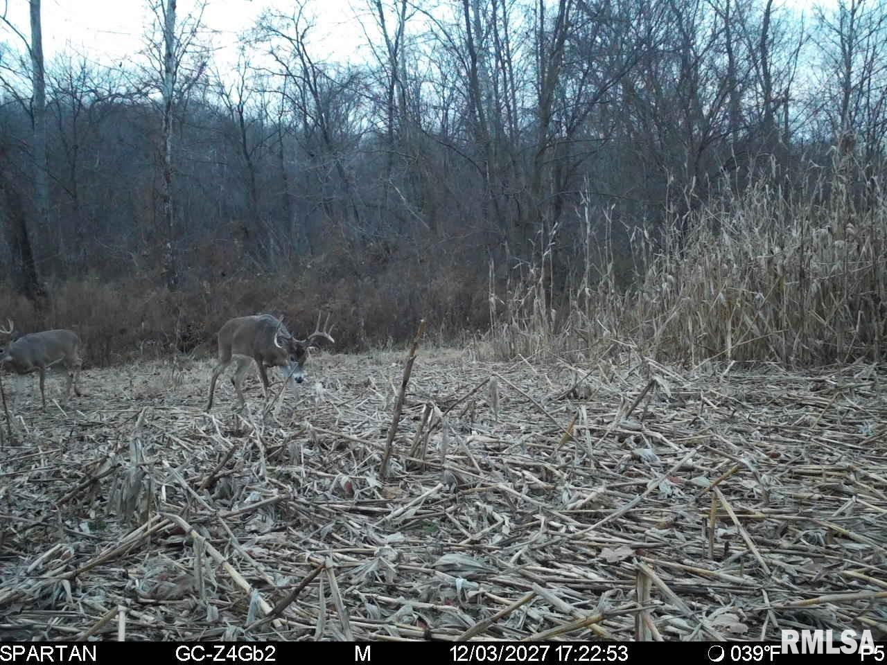 0 East Sand Road Lewistown, IL 61542 - Photo 44 of 87 Gallery Image 44