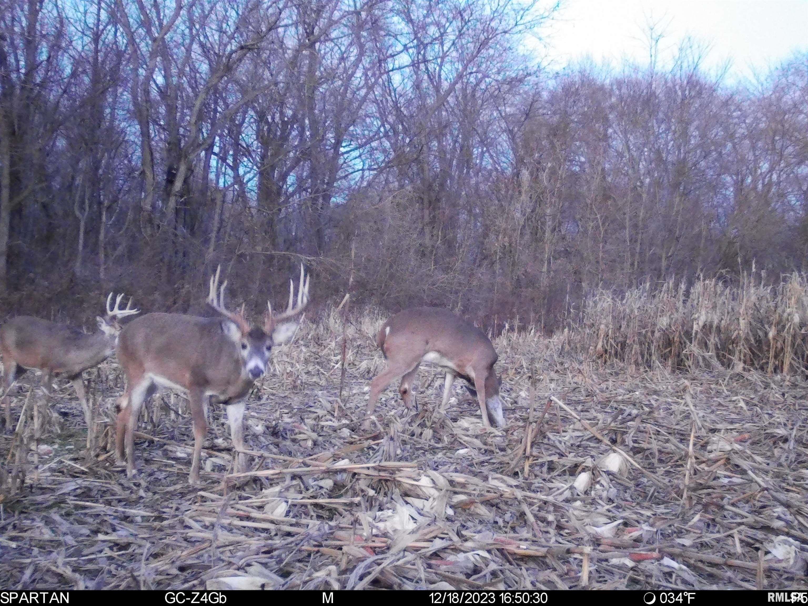 0 East Sand Road Lewistown, IL 61542 - Photo 46 of 87 Gallery Image 46