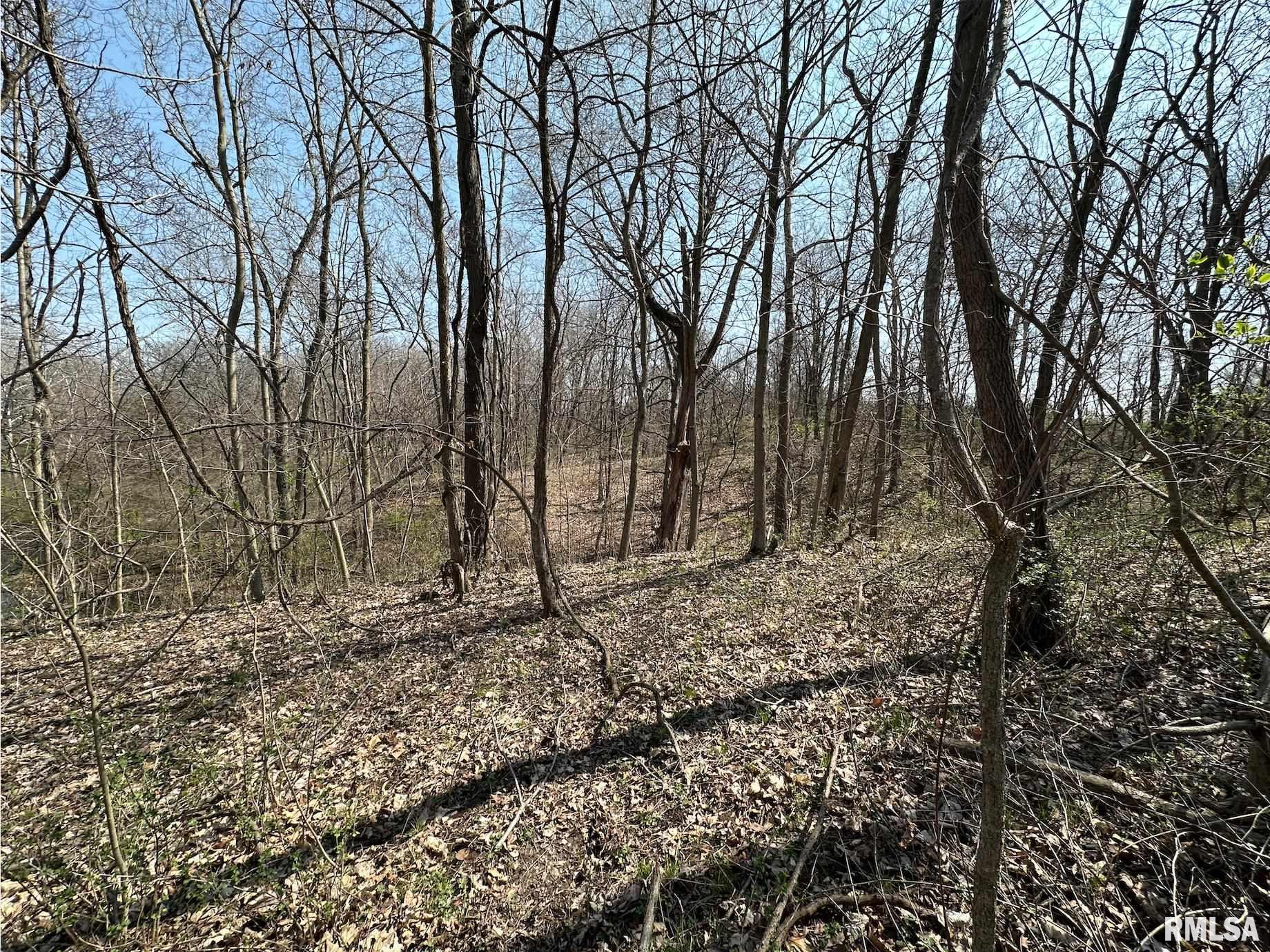 0 East Sand Road Lewistown, IL 61542 - Photo 53 of 87 Gallery Image 53