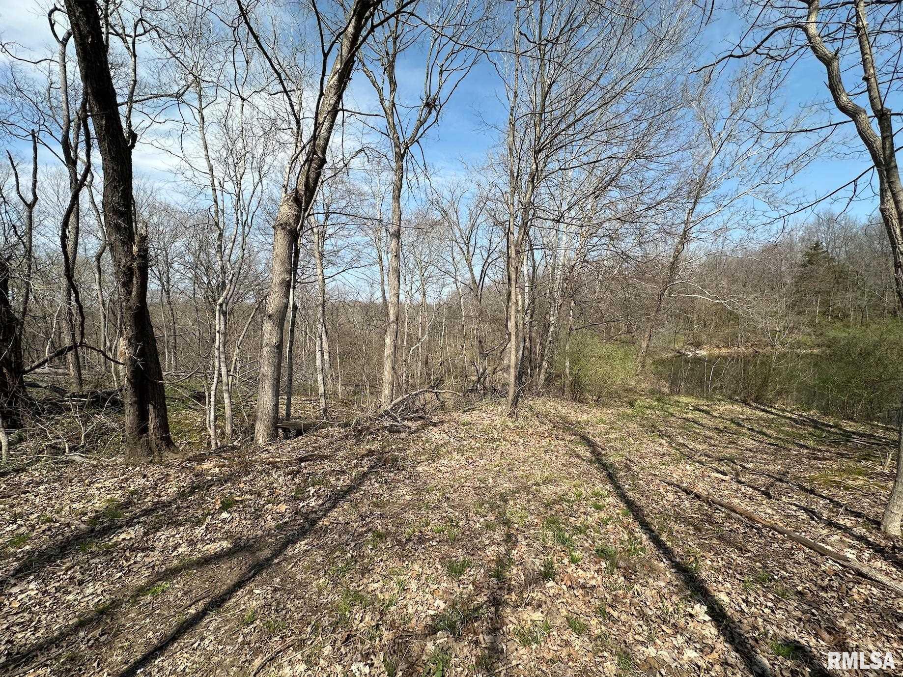 0 East Sand Road Lewistown, IL 61542 - Photo 55 of 87 Gallery Image 55