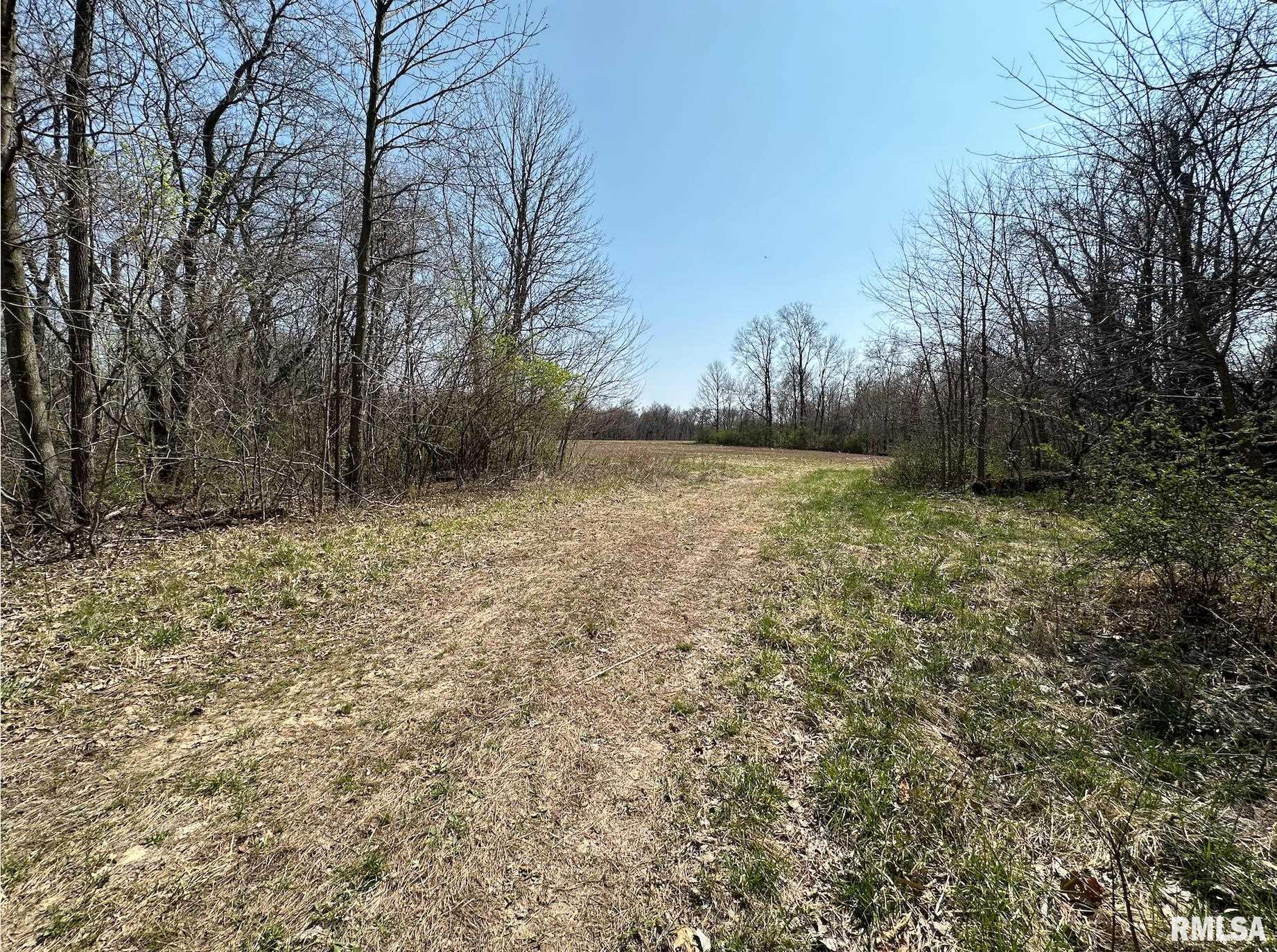 0 East Sand Road Lewistown, IL 61542 - Photo 57 of 87 Gallery Image 57