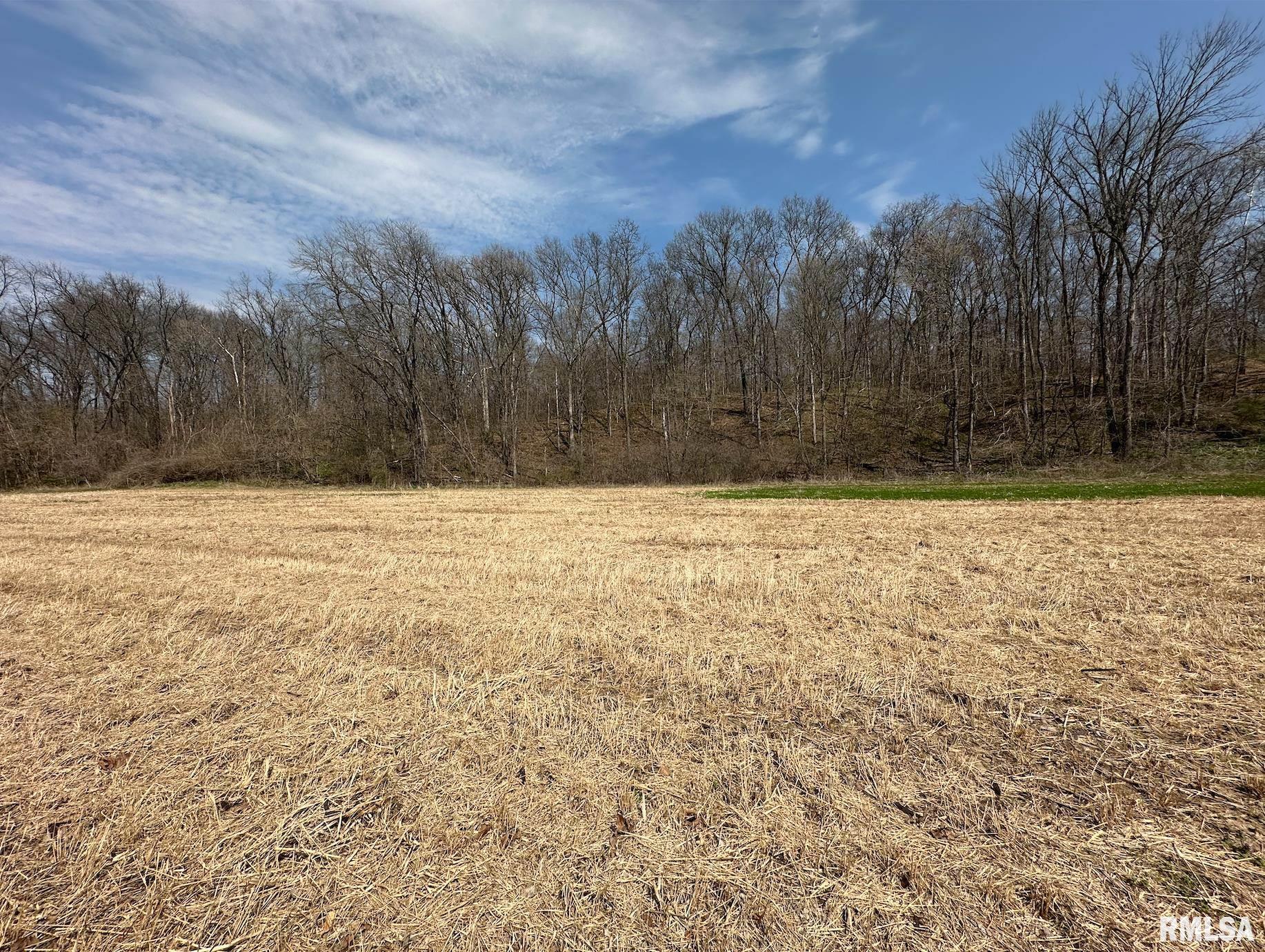 0 East Sand Road Lewistown, IL 61542 - Photo 60 of 87 Gallery Image 60