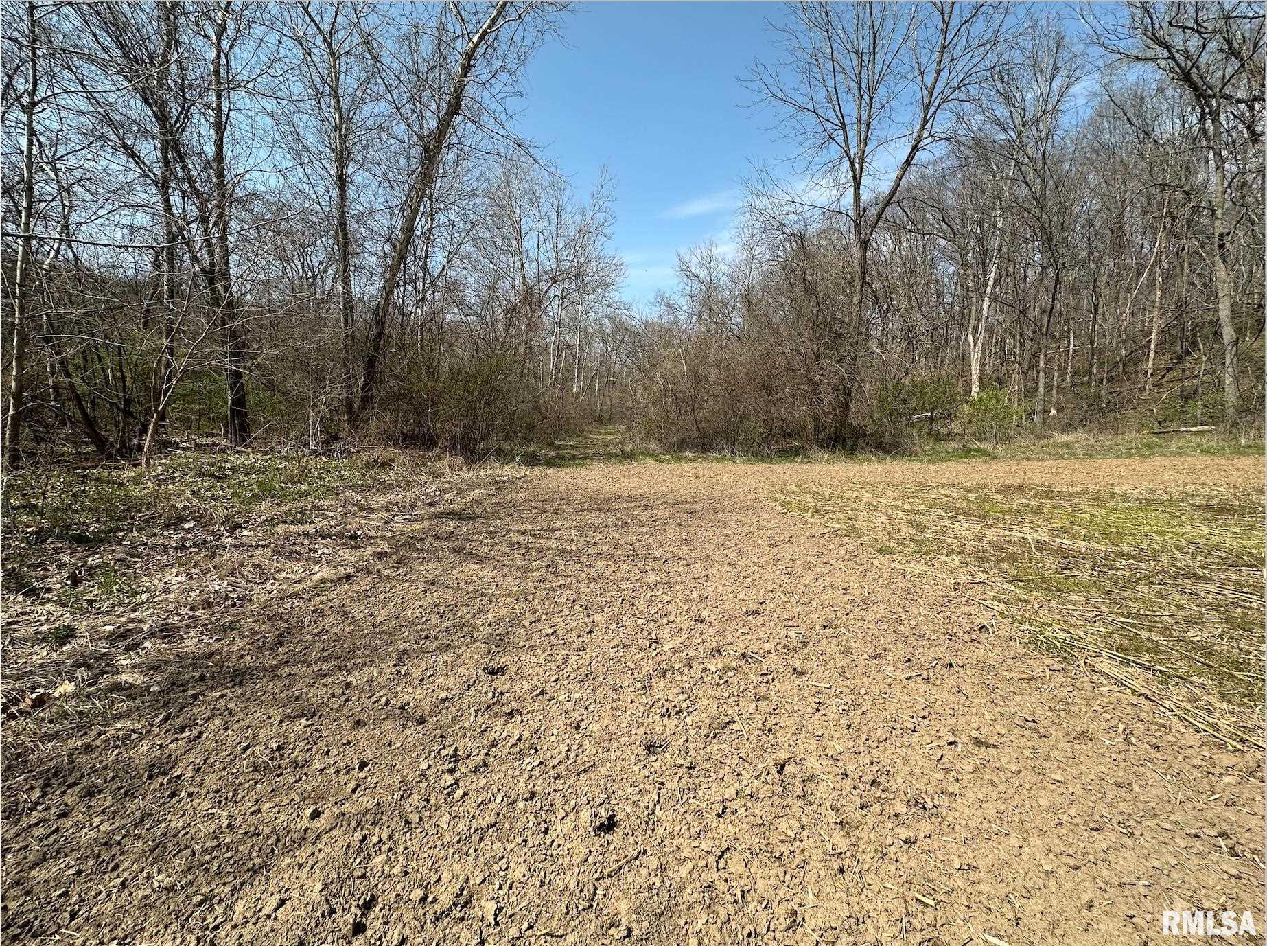0 East Sand Road Lewistown, IL 61542 - Photo 68 of 87 Gallery Image 68