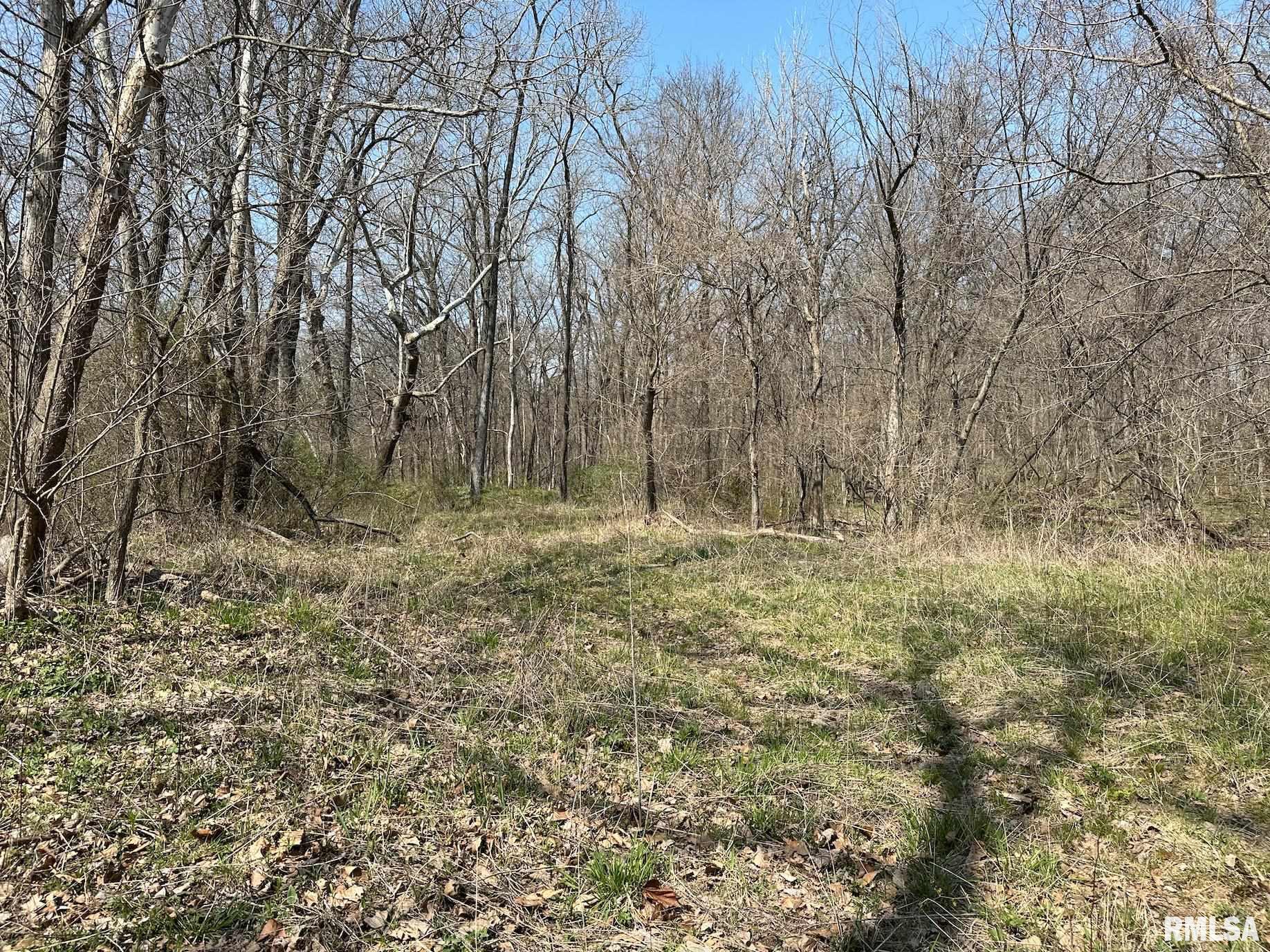 0 East Sand Road Lewistown, IL 61542 - Photo 77 of 87 Gallery Image 77