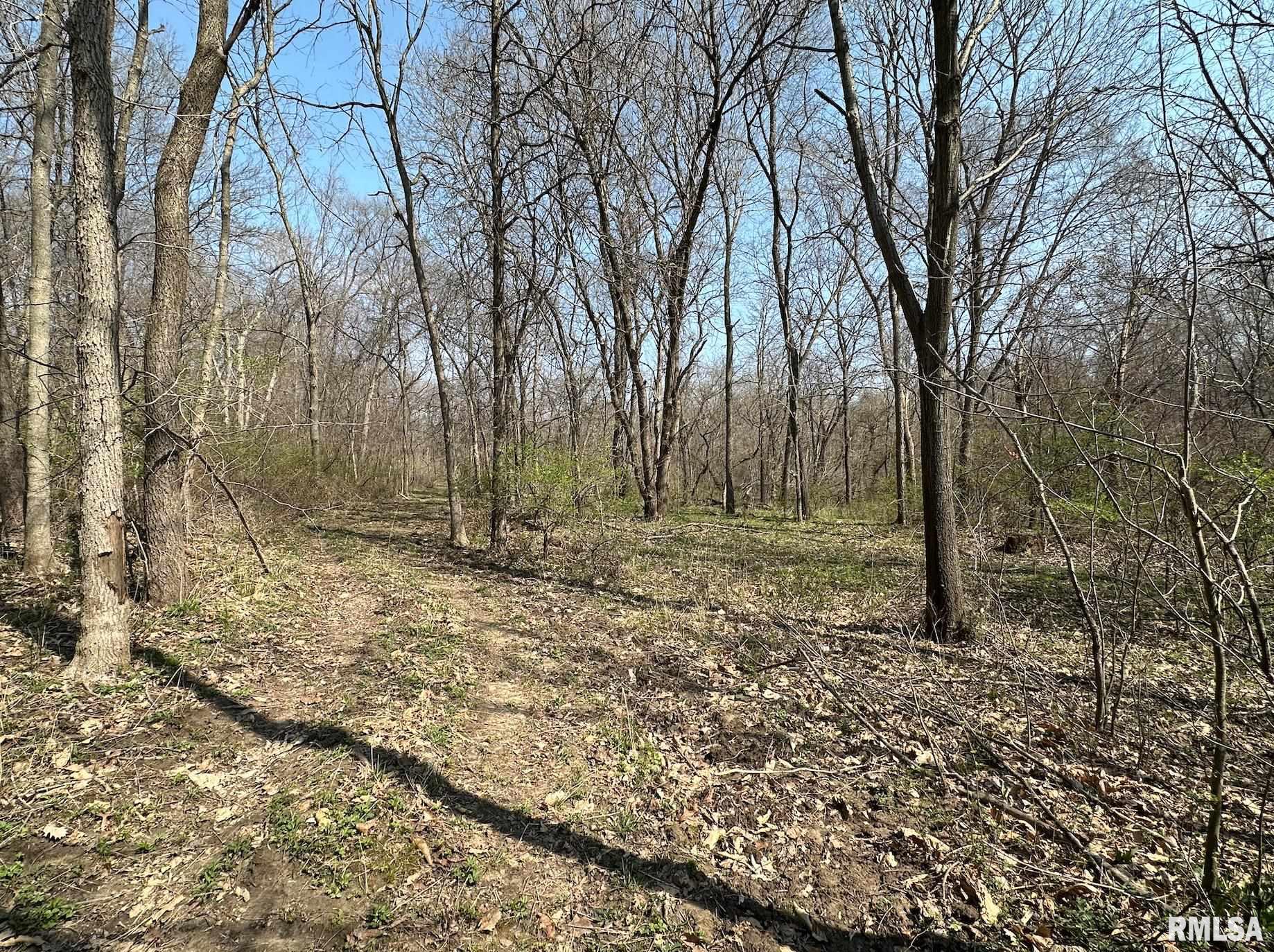 0 East Sand Road Lewistown, IL 61542 - Photo 78 of 87 Gallery Image 78