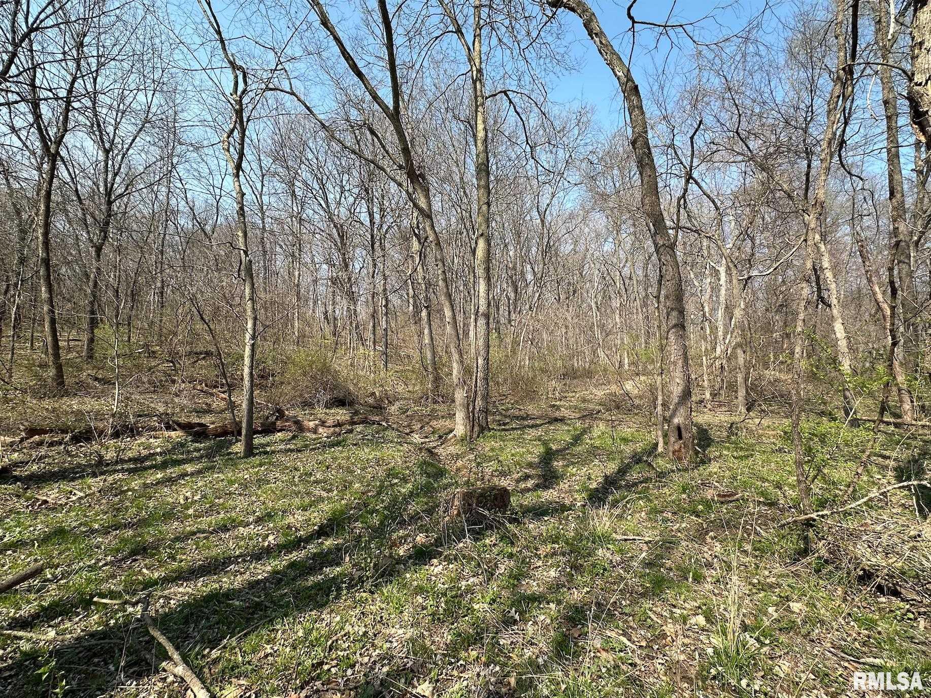 0 East Sand Road Lewistown, IL 61542 - Photo 80 of 87 Gallery Image 80