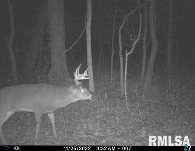 0 East Sand Road Lewistown, IL 61542 - Photo 84 of 87 Gallery Image 84