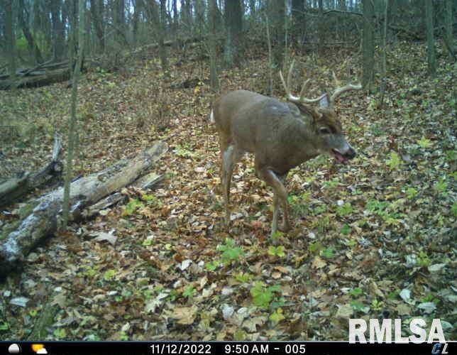 0 East Sand Road Lewistown, IL 61542 - Photo 86 of 87 Gallery Image 86
