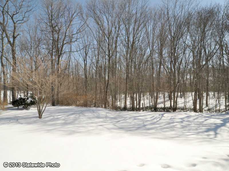 10 White Rock Road Coventry, RI 02816 - Photo 11 of 25 Yard/Garden.