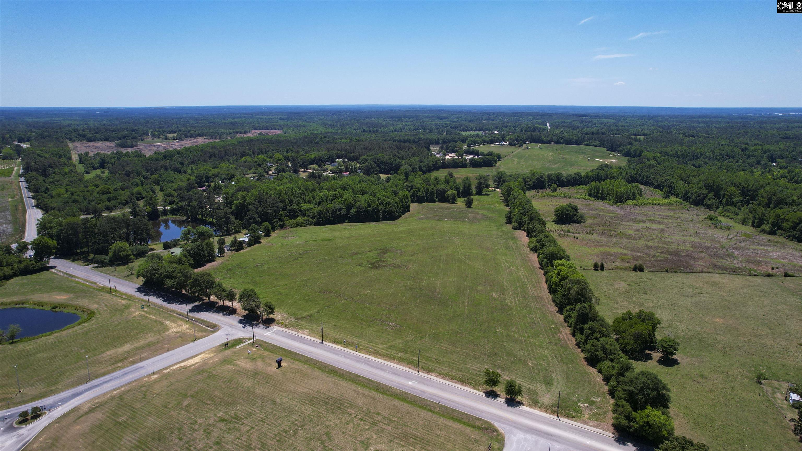 0 Shealy Road, Unit LOT 2 Batesburg, SC 29006 - Photo 3 of 17