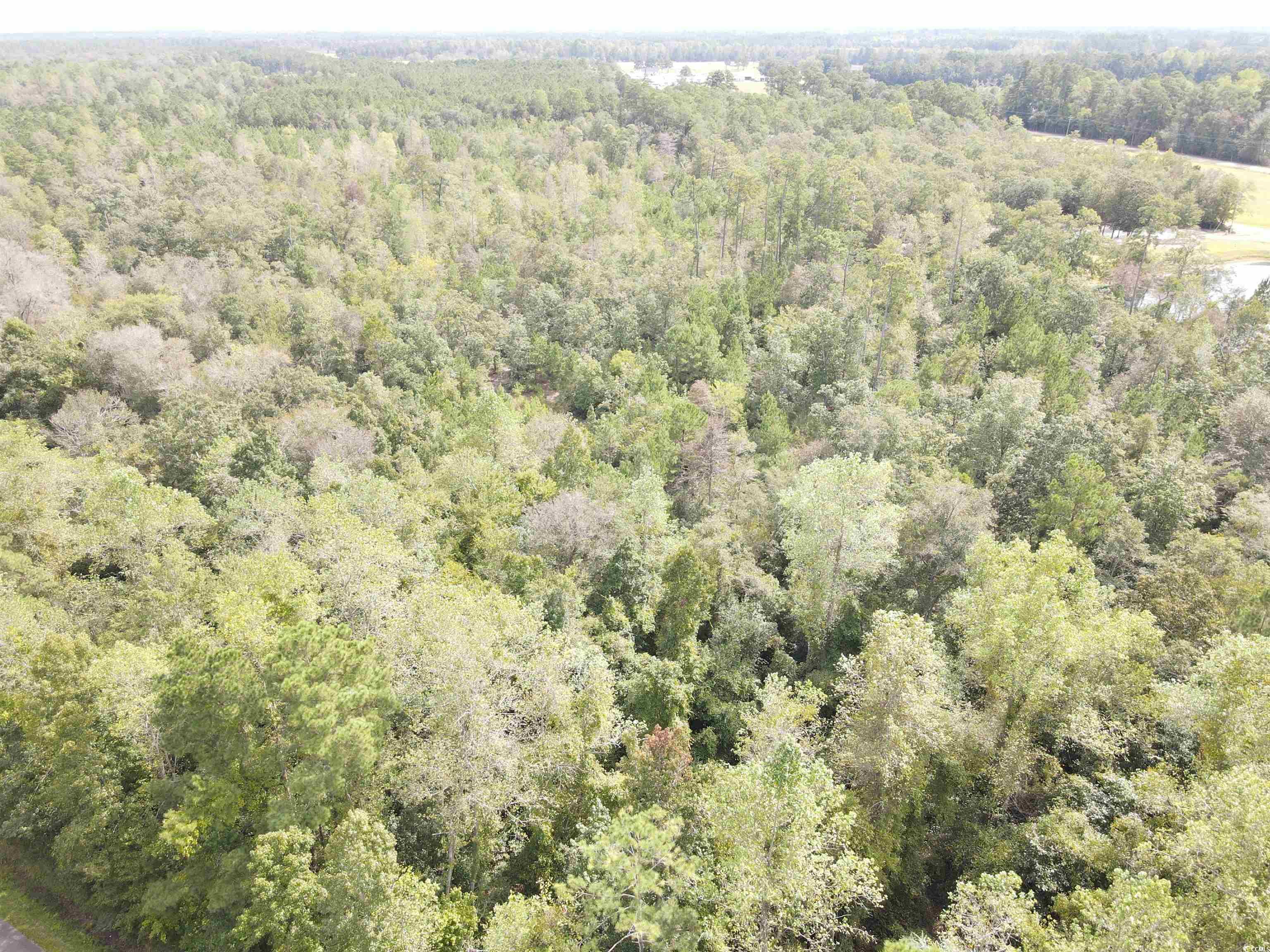 Lot 6 Rainbow Drive Loris, SC 29569 - Photo 1 of 21