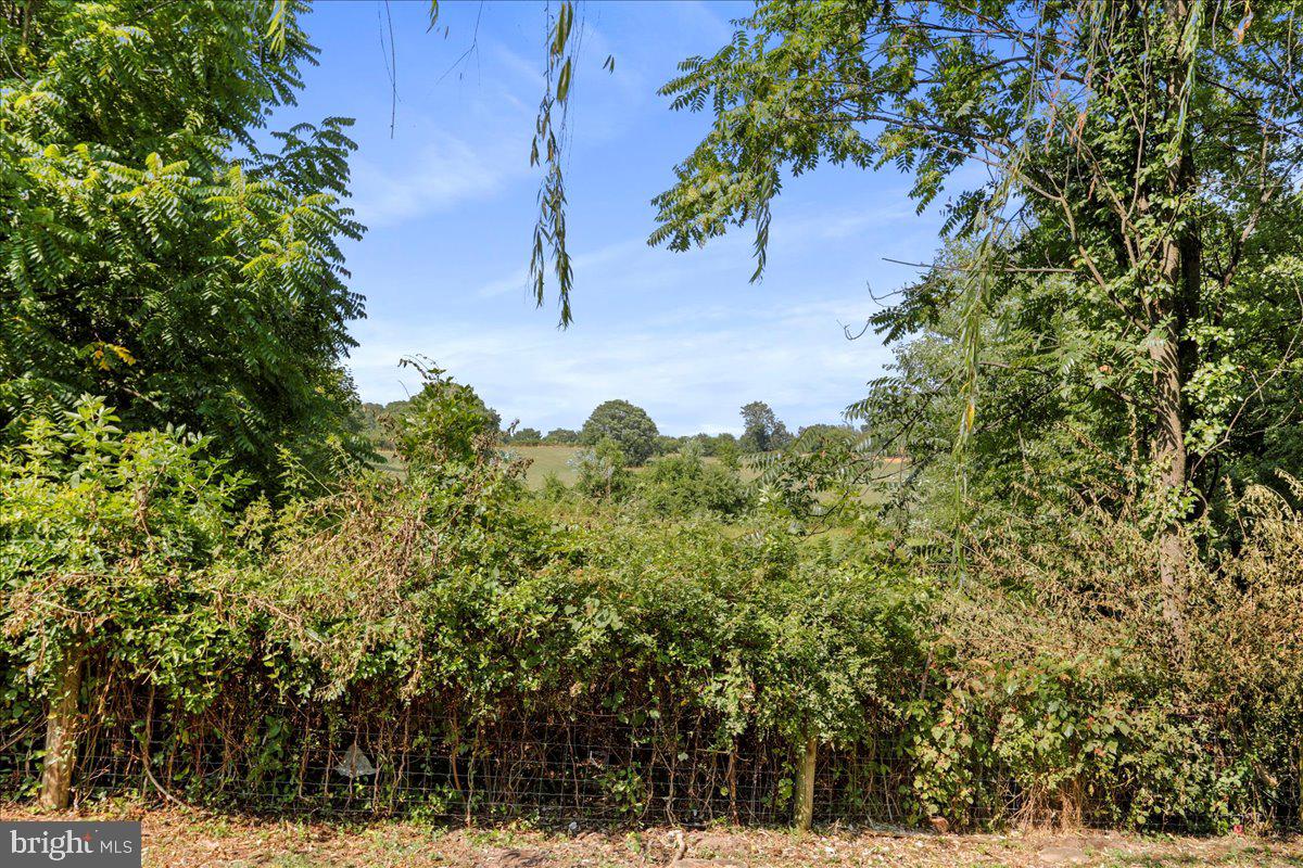 40 Clems Drive Ranson, WV 25438 - Photo 32 of 32 Yard Backs to Pasture