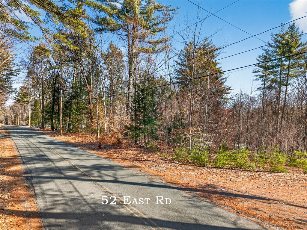 52 East Road Orange, MA 01364 - Photo 7 of 9 a view of a yard with plants and trees