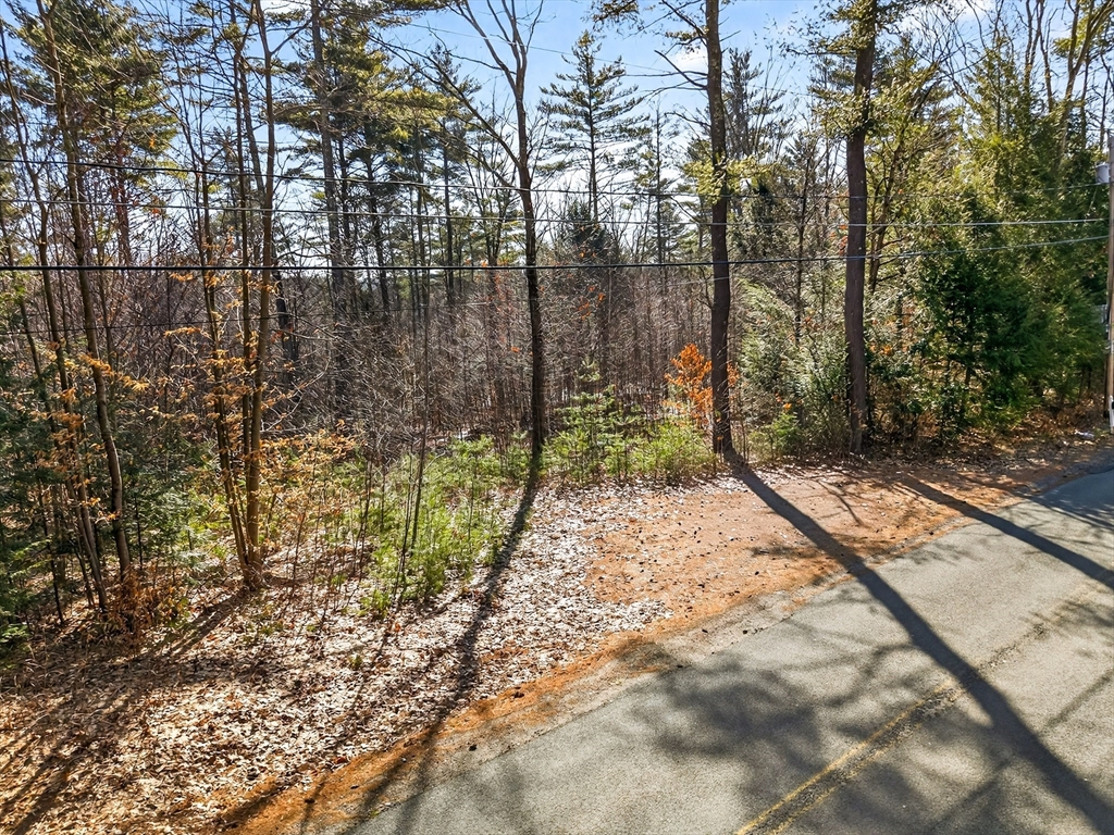 52 East Road Orange, MA 01364 - Photo 8 of 9 a view of backyard with green space