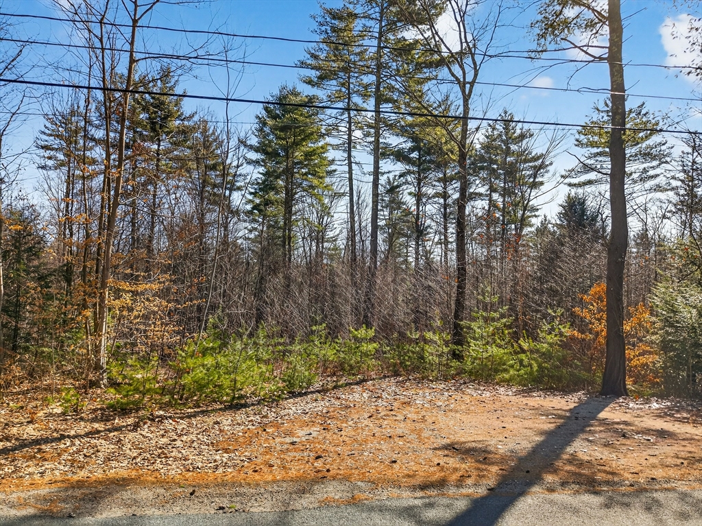 52 East Road Orange, MA 01364 - Photo 9 of 9 a view of a backyard of the house