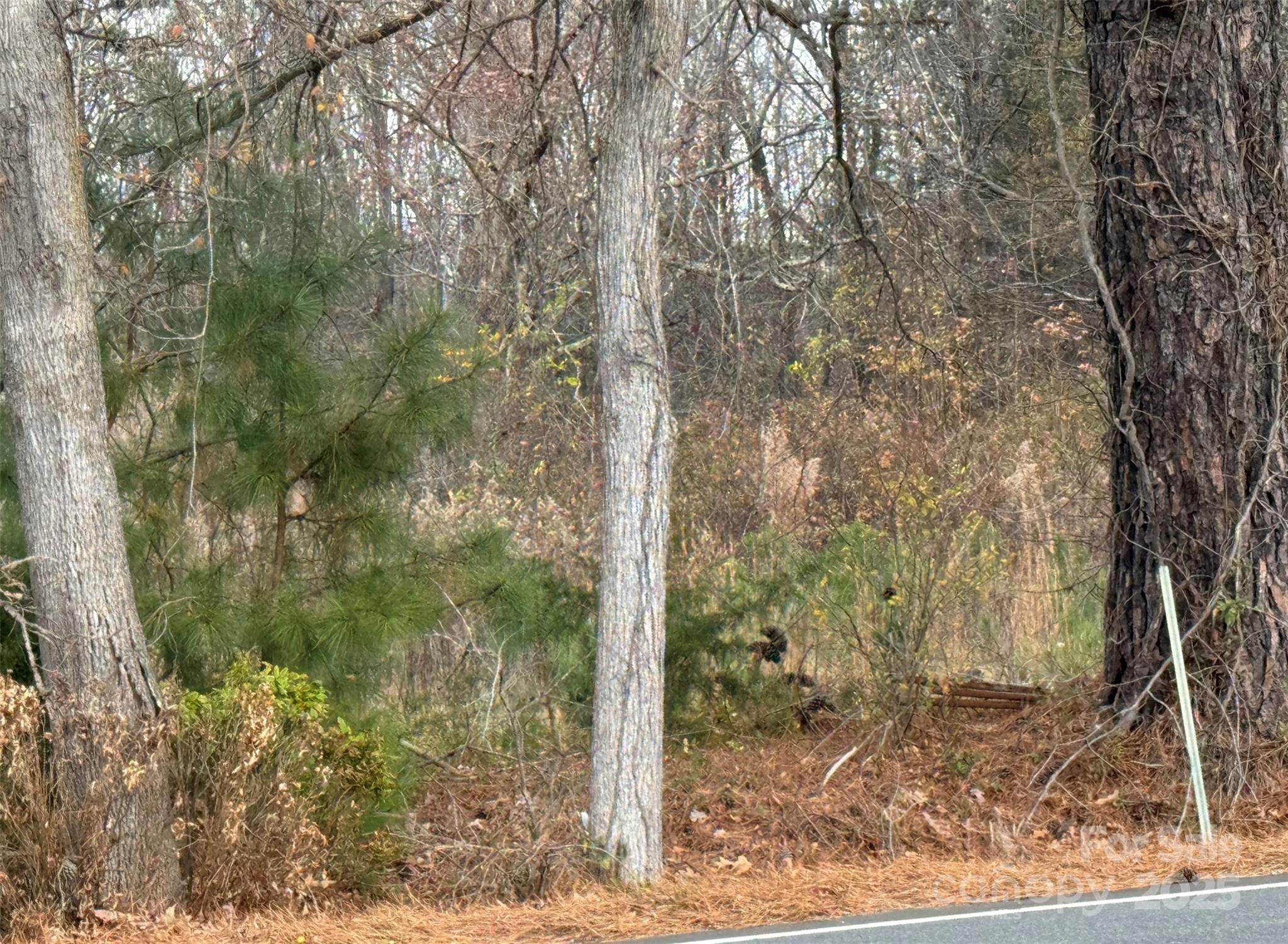 13315-1 Ramah Church Road Huntersville, NC 28078 - Photo 2 of 4 a view of a forest