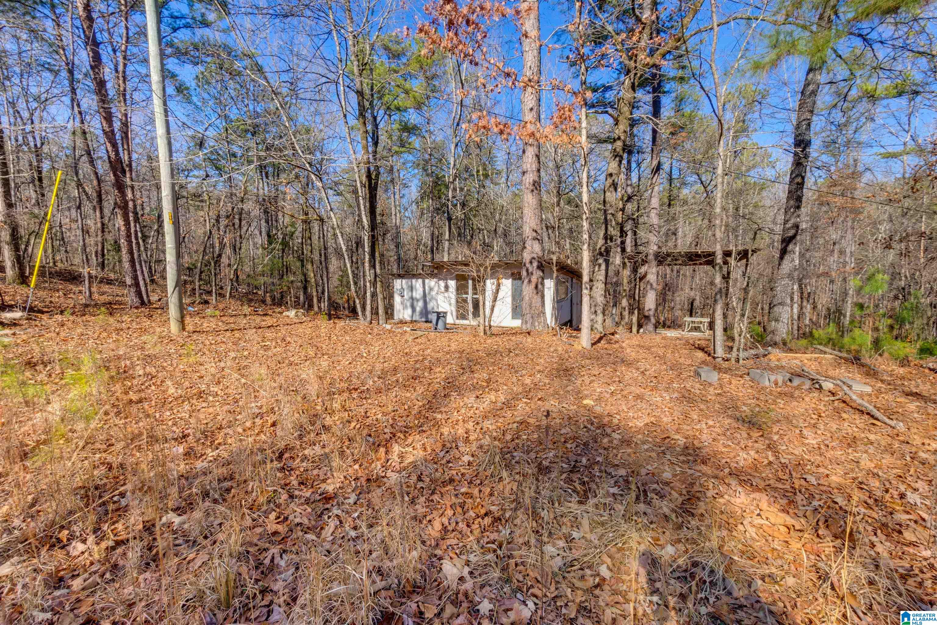 900 County Road 772 Montevallo, AL 35115 - Photo 53 of 58