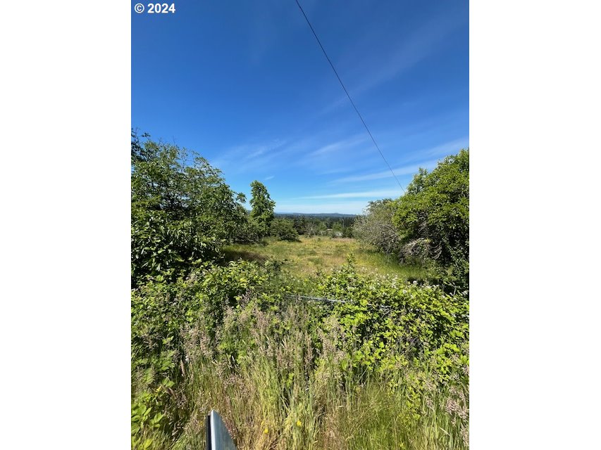 10755 Southeast 92nd Avenue Happy Valley, OR 97086 - Photo 6 of 40 a view of a yard