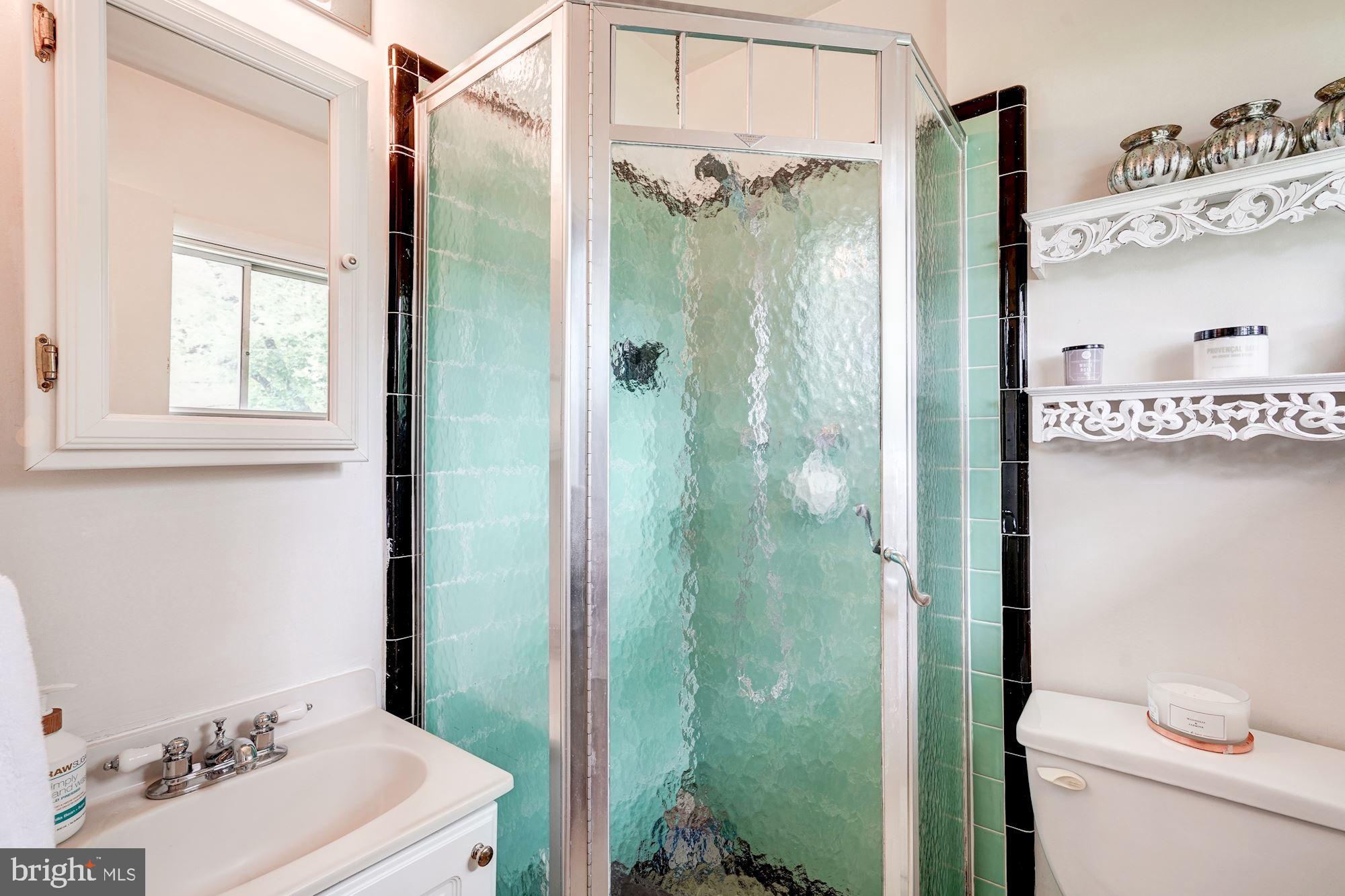 6718 Old Chesterbrook Road McLean, VA 22101 - Photo 12 of 25 En-suite master bath