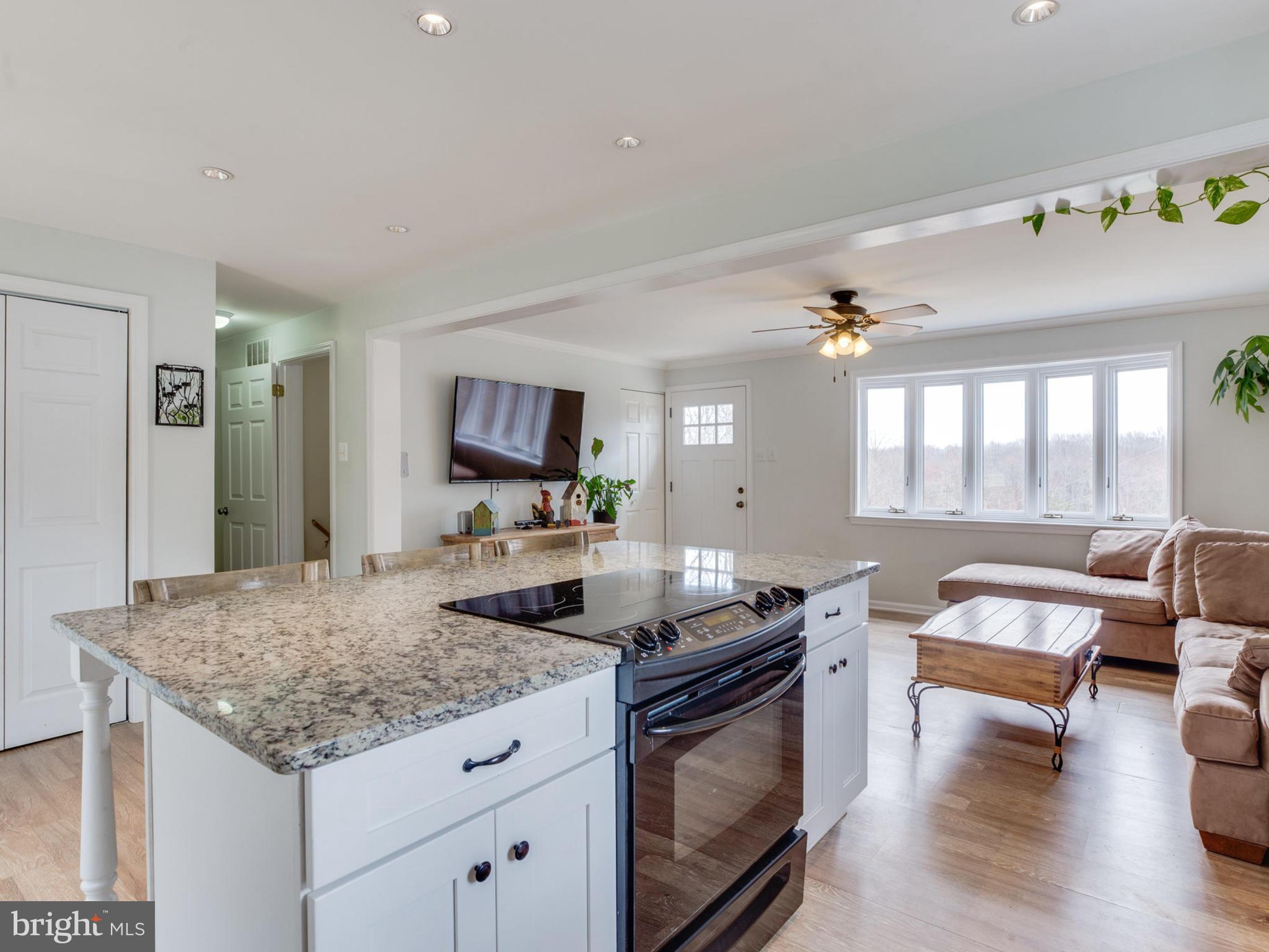 24075 New Mountain Road Aldie, VA 20105 - Photo 11 of 30 Kitchen