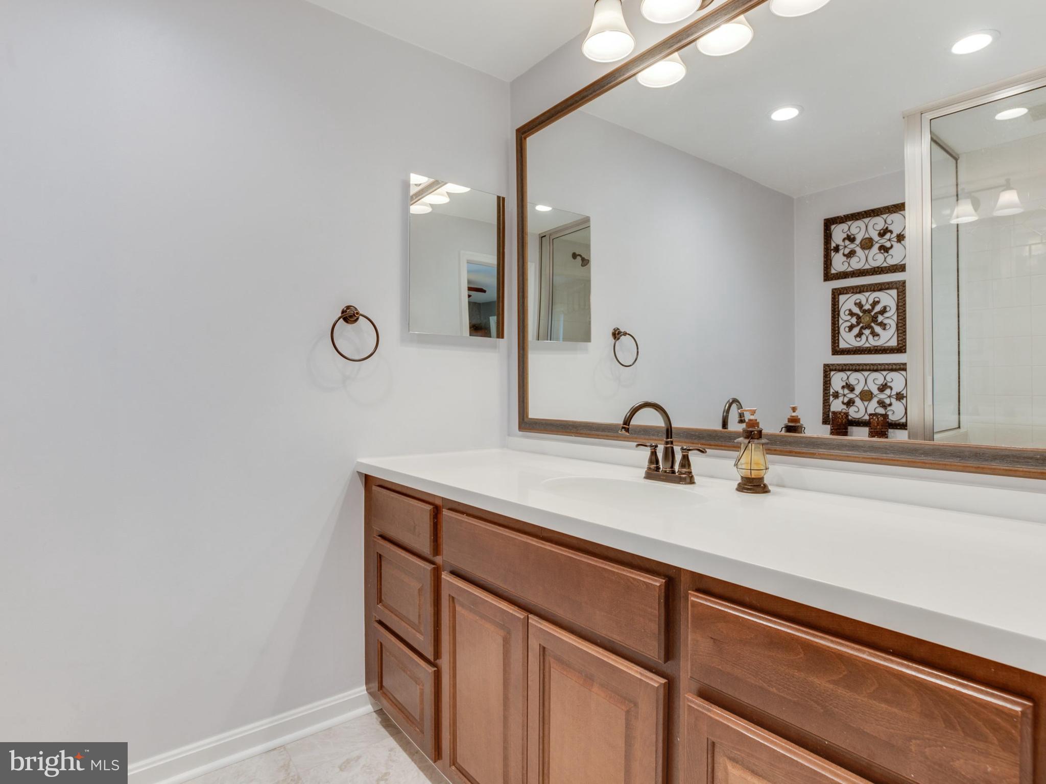 24075 New Mountain Road Aldie, VA 20105 - Photo 12 of 30 Full bathroom with large vanity off master br