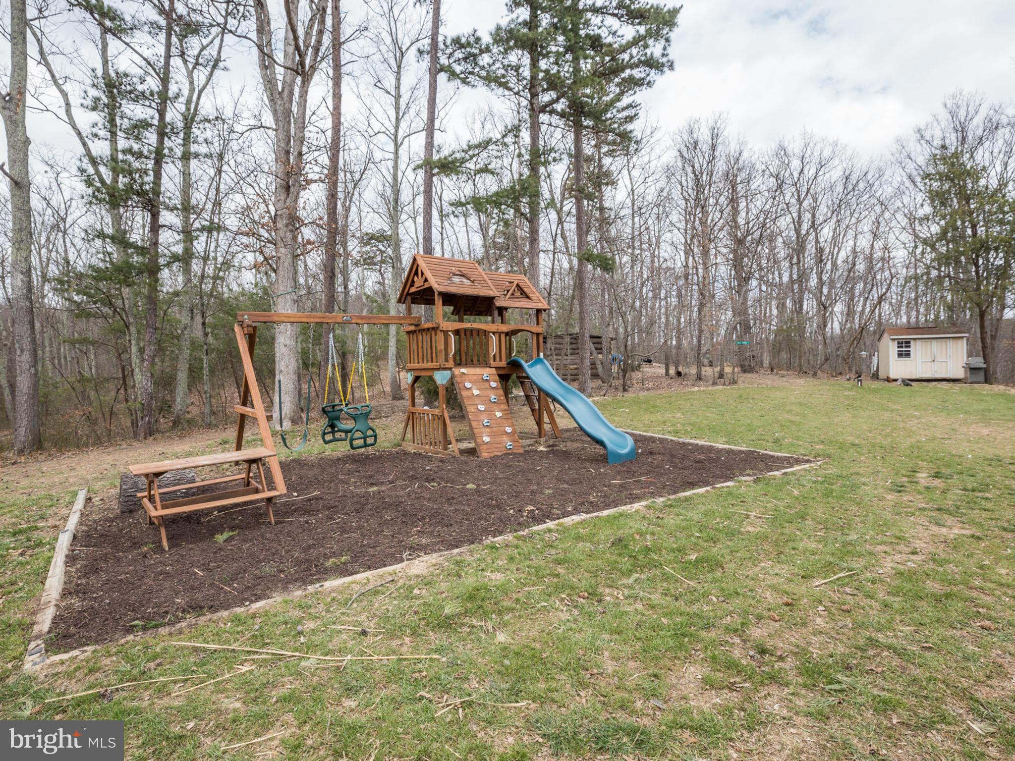 24075 New Mountain Road Aldie, VA 20105 - Photo 27 of 30 Playset conveys!