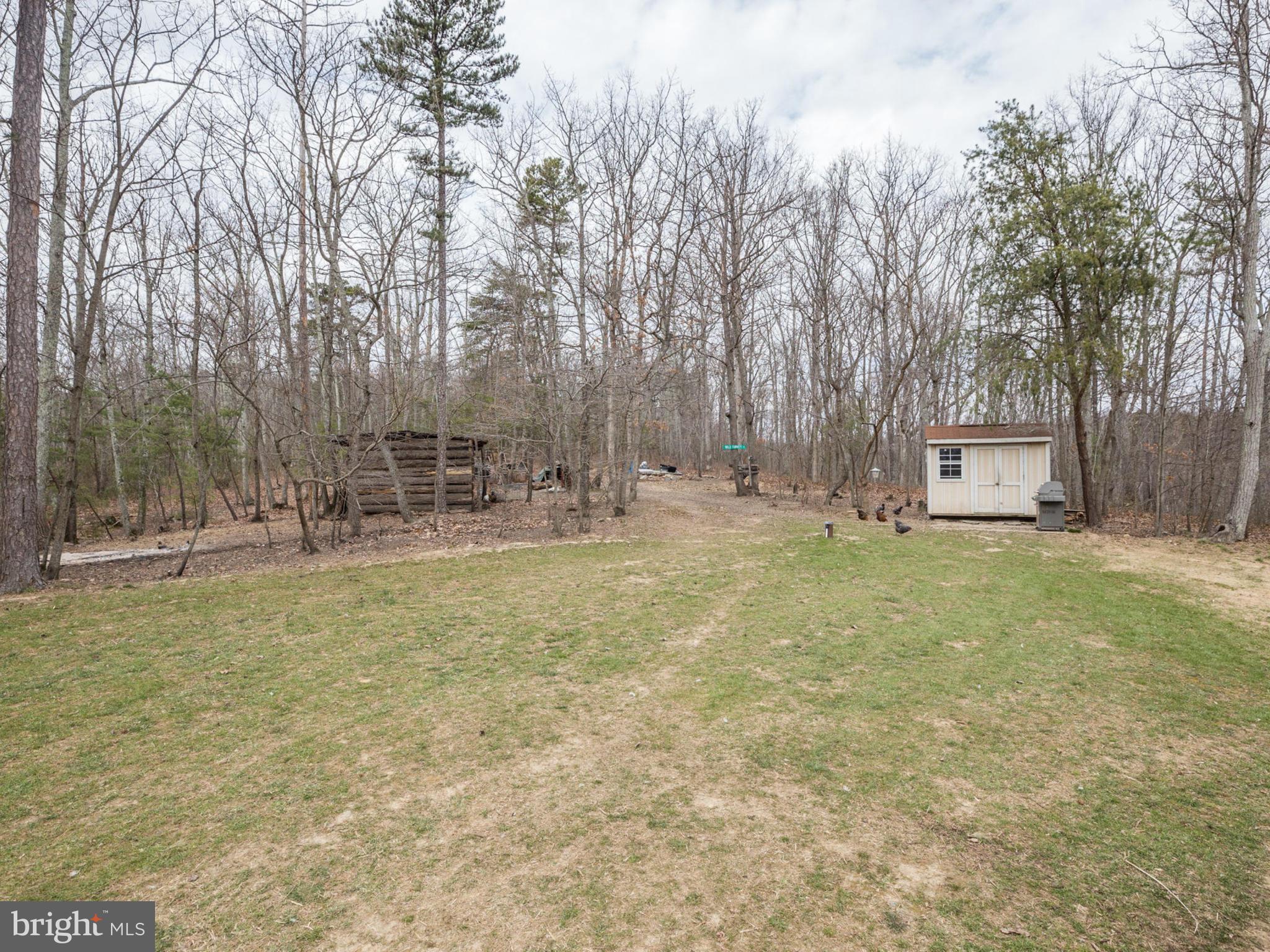 24075 New Mountain Road Aldie, VA 20105 - Photo 28 of 30 Almost 3 acres, perfect for gardens and animals