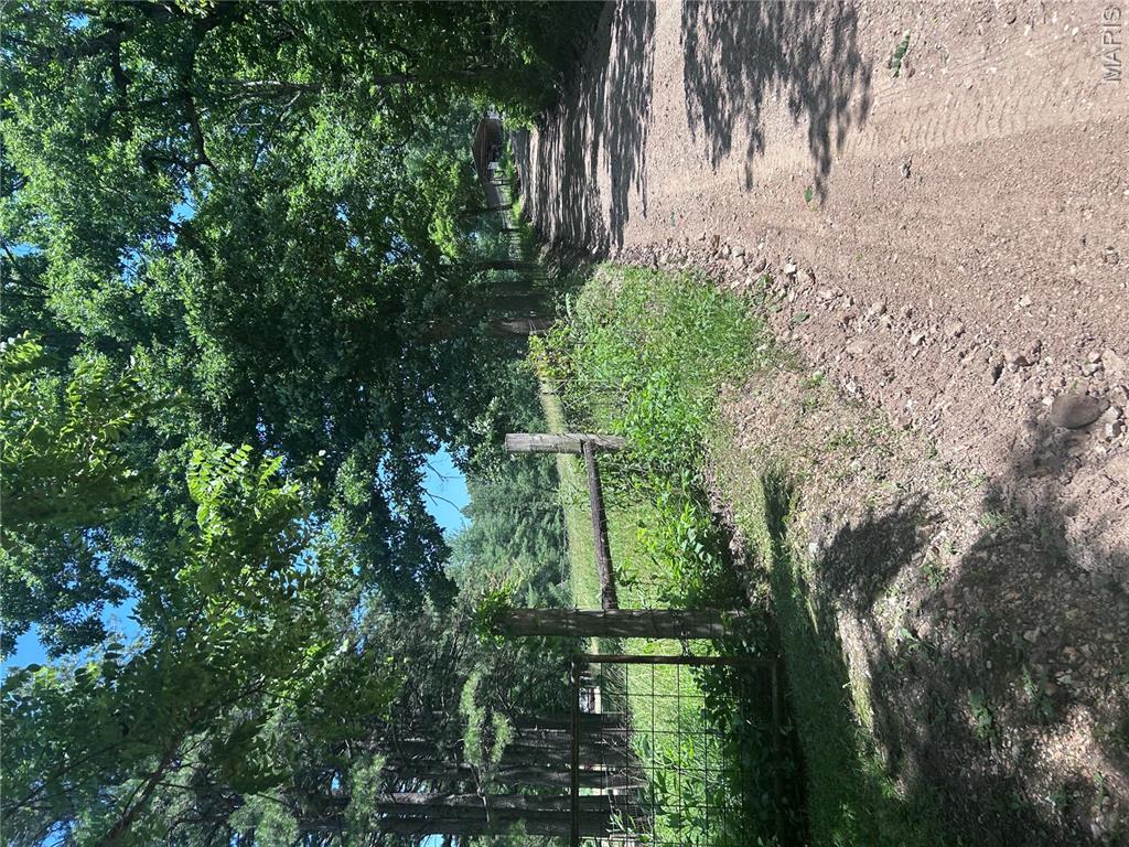 183 Graham Road Steelville, MO 65565 - Photo 13 of 82