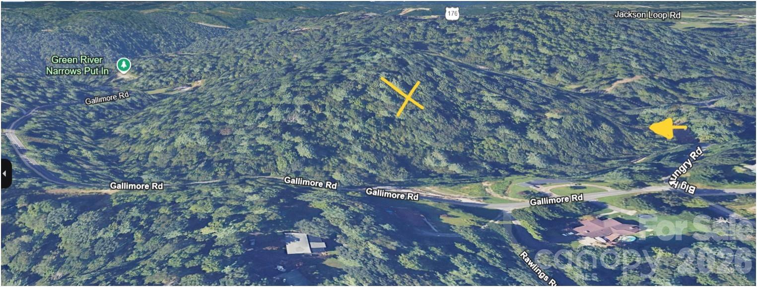 5.64-acres Big Hungry Road Flat Rock, NC 28731 - Photo 11 of 14