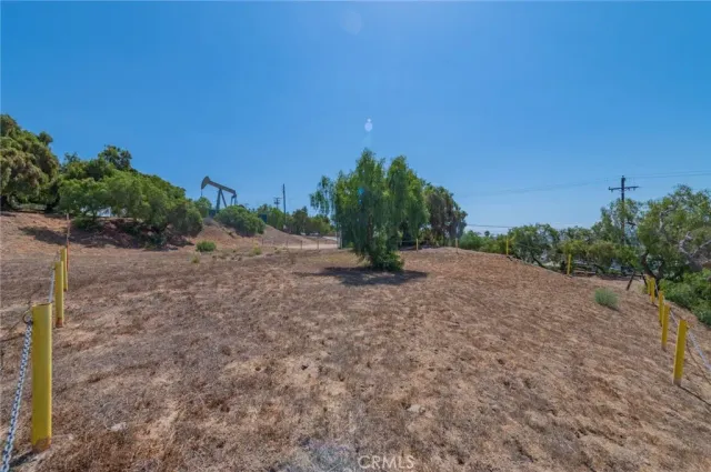 a view of a dry yard with trees in the background