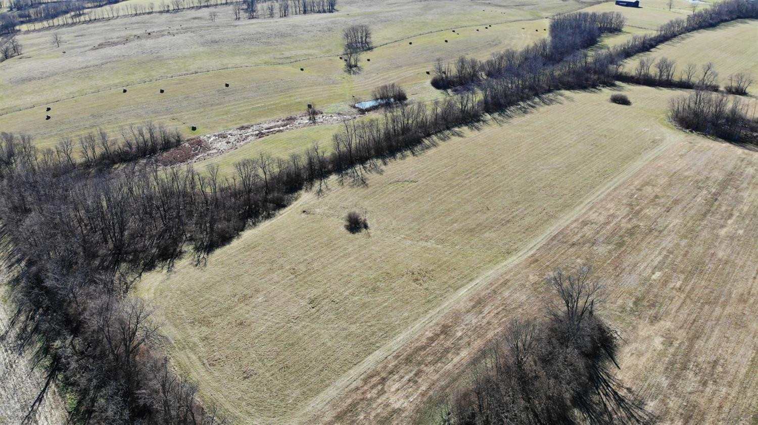 6134 Ware Road Paris, KY 40361 - Photo 11 of 13 Photo 11