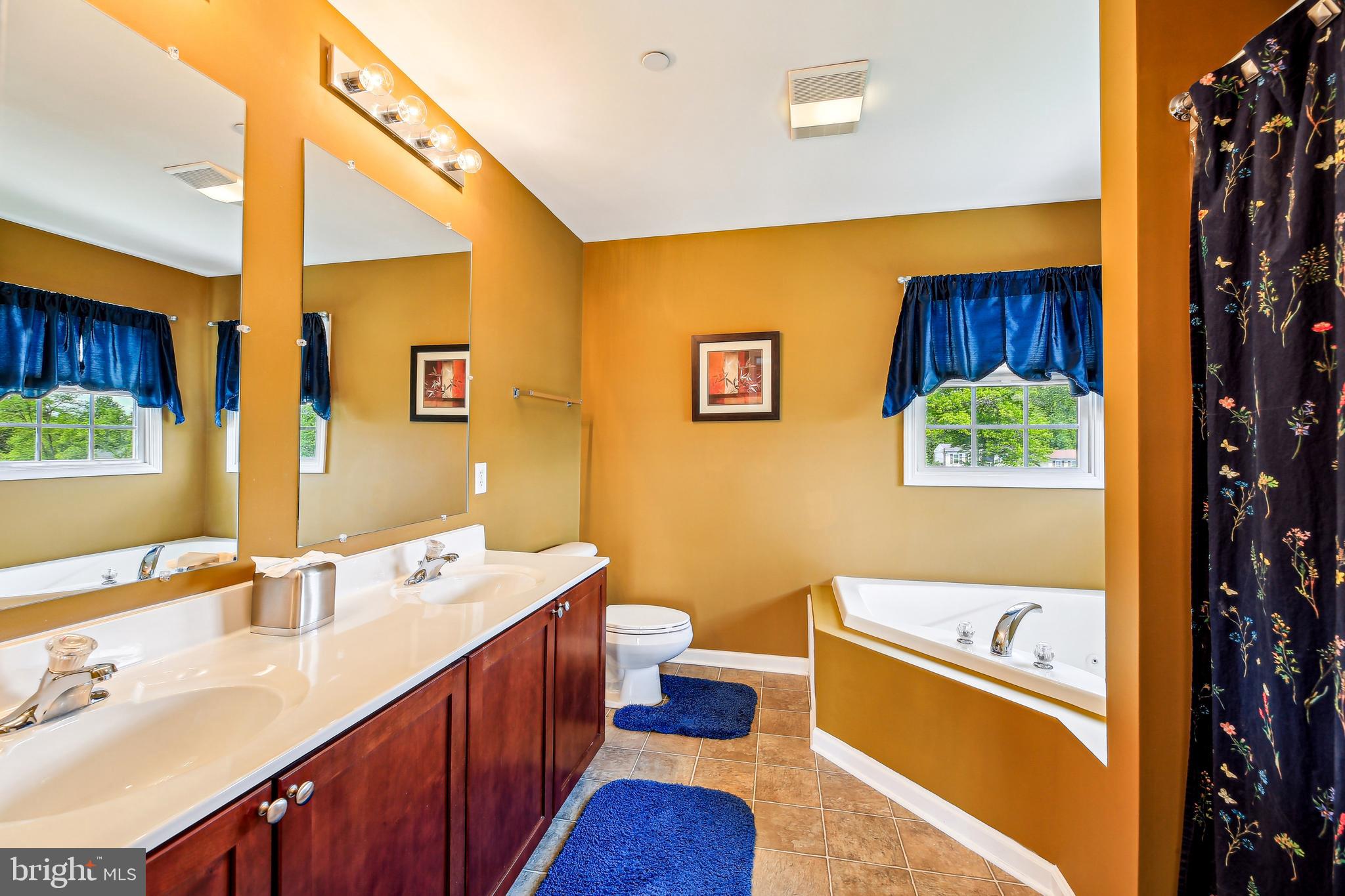 8691 Pine Tree Road Jessup, MD 20794 - Photo 32 of 47 Primary Ensuite Bathroom