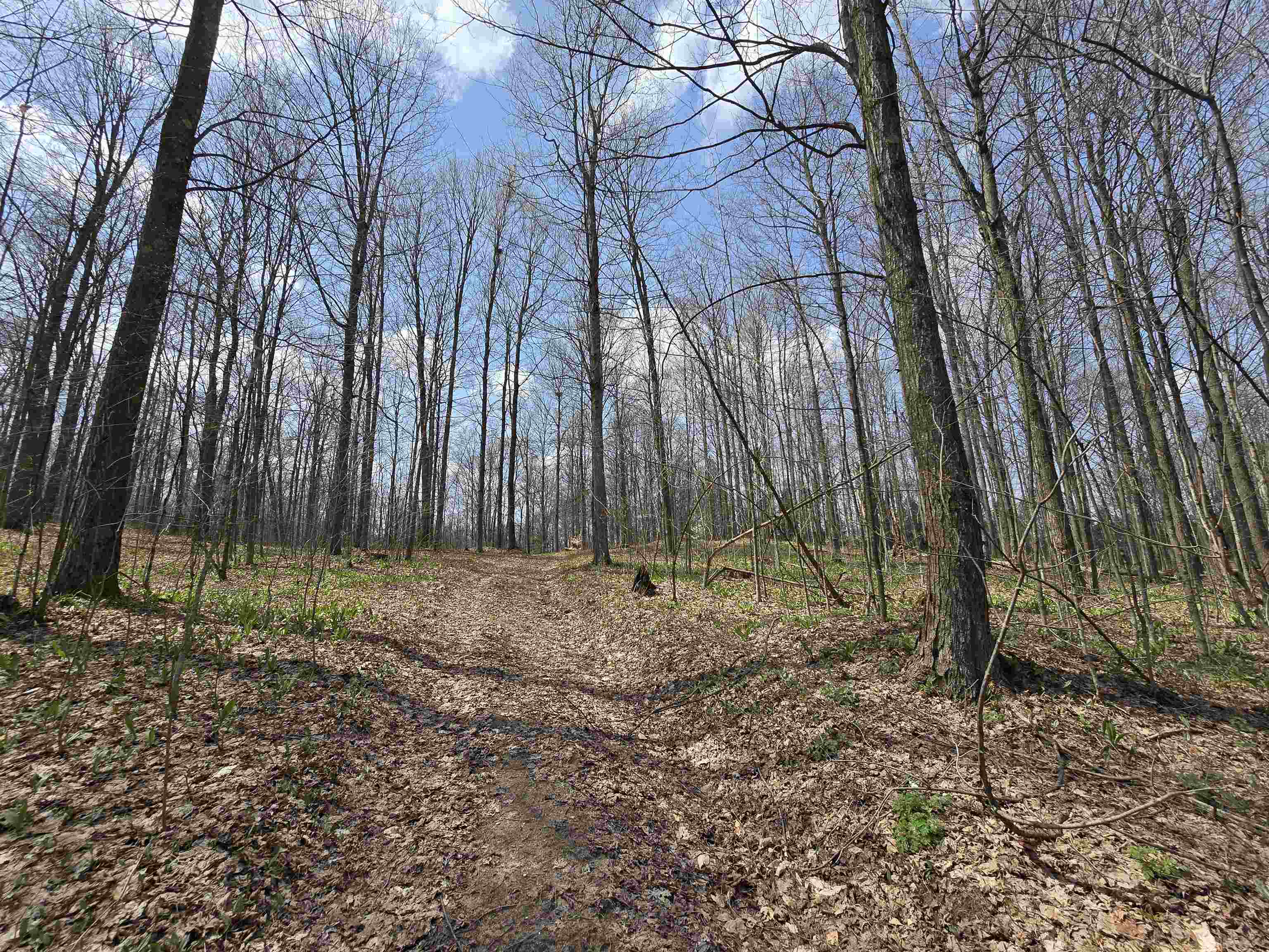 0 West 20 Road Mesick, MI 49668 - Photo 3 of 11