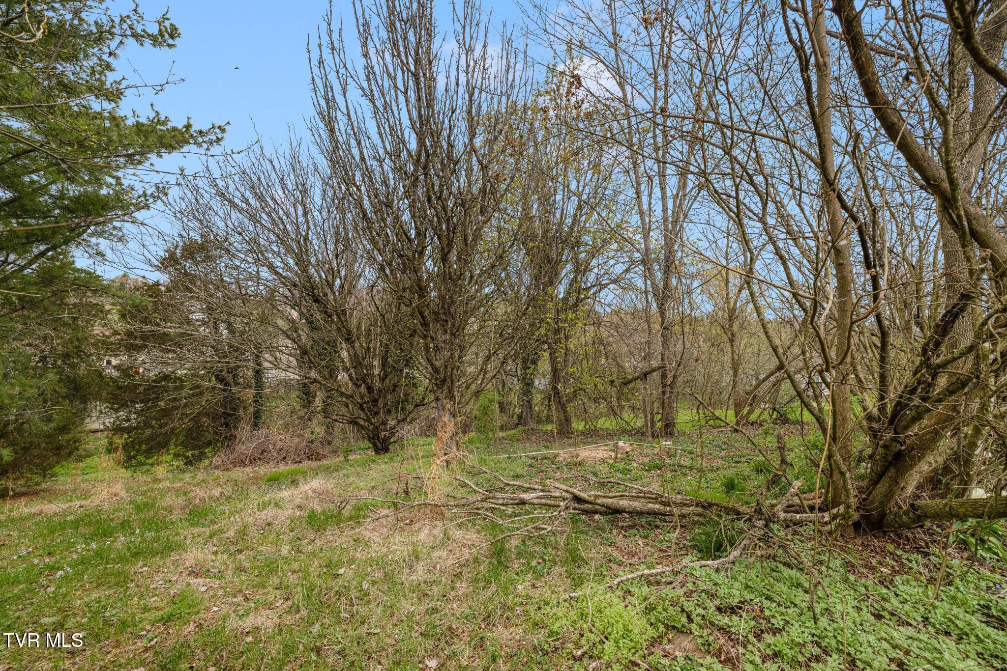 1069 Gray Station Road Gray, TN 37615 - Photo 34 of 38 IMG_6337