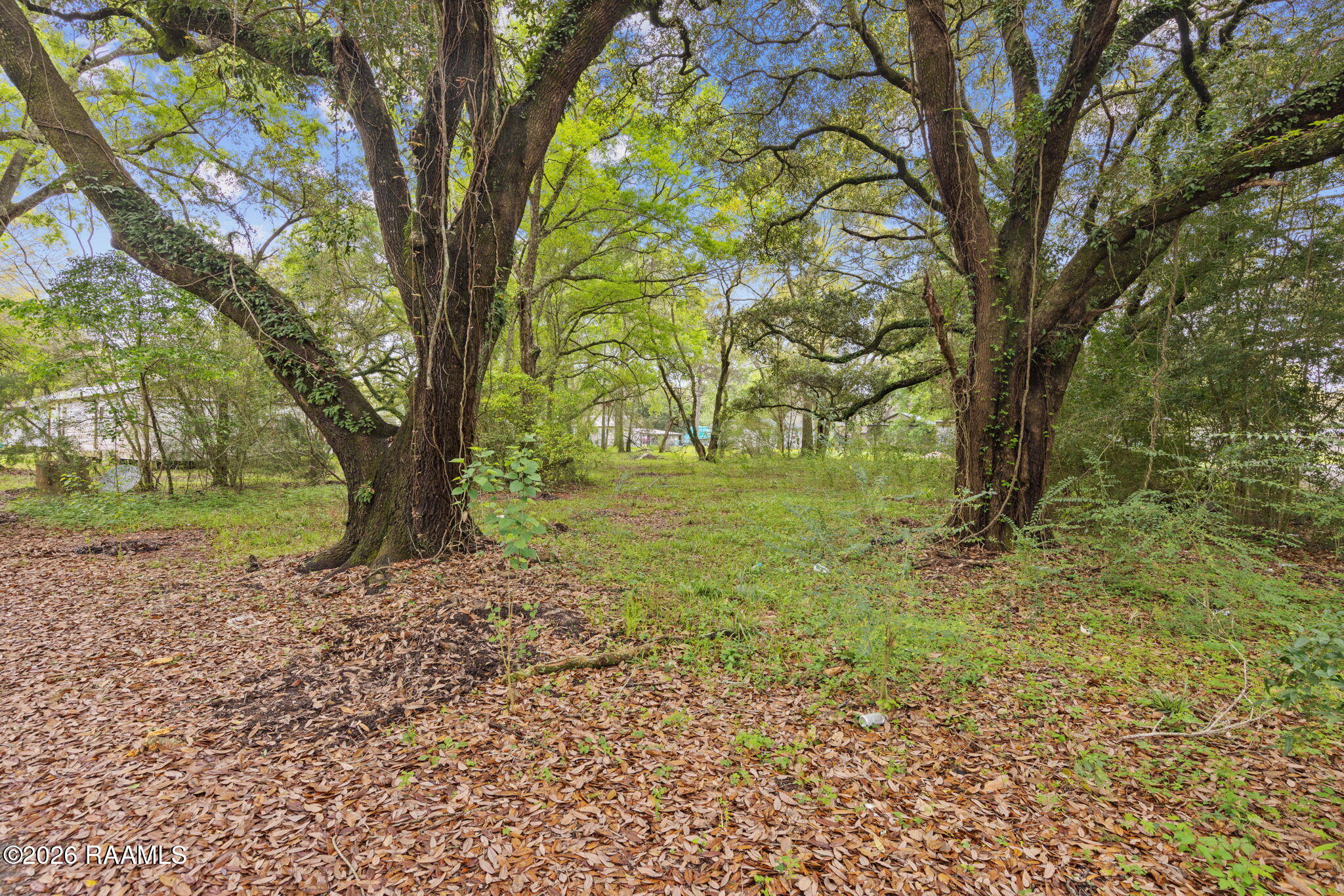 2403 West Schambers Basile, LA 70515 - Photo 29 of 29 Small lot