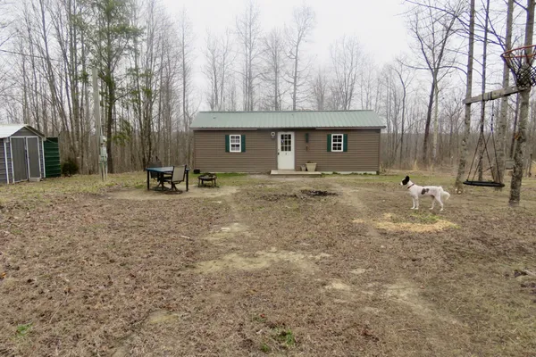 a view of a house with yard and a tree