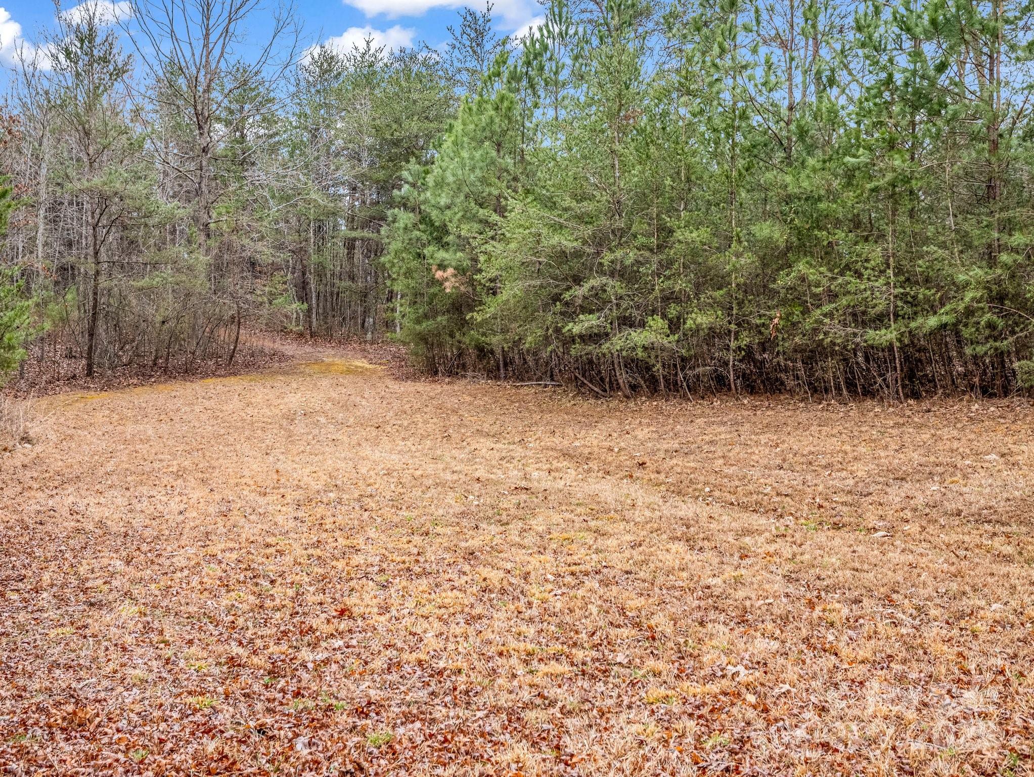 1217 Moore Road, Unit 70 80 & 90 Tryon, NC 28782 - Photo 24 of 42 a view of a yard with a trees