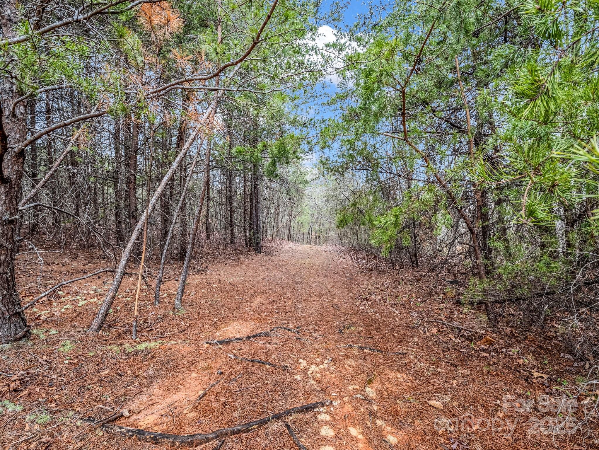 1217 Moore Road, Unit 70 80 & 90 Tryon, NC 28782 - Photo 26 of 42 a backyard of a house with lots of green space