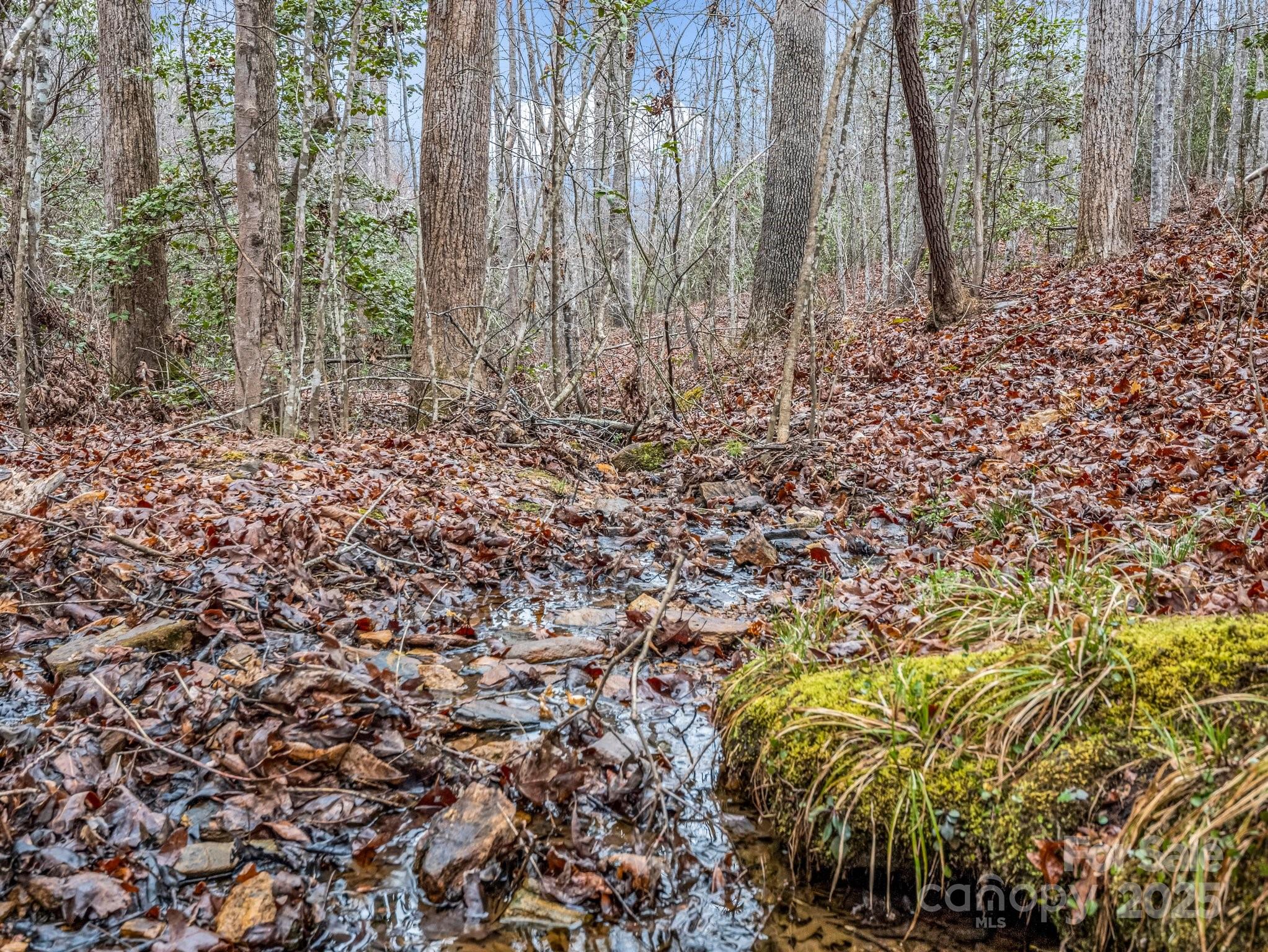 1217 Moore Road, Unit 70 80 & 90 Tryon, NC 28782 - Photo 31 of 42 a view of a yard with trees