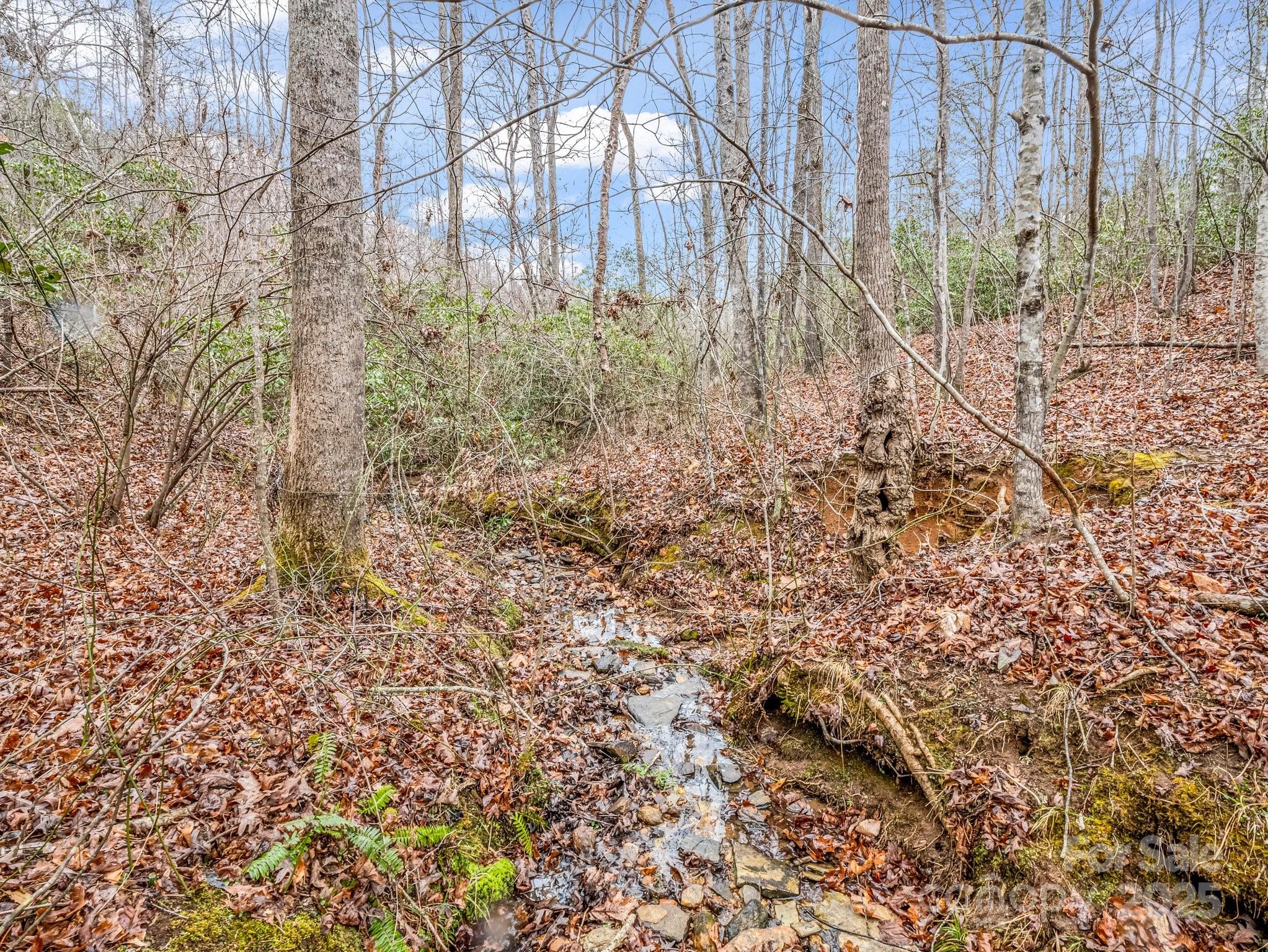 1217 Moore Road, Unit 70 80 & 90 Tryon, NC 28782 - Photo 32 of 42 a plant view in yard