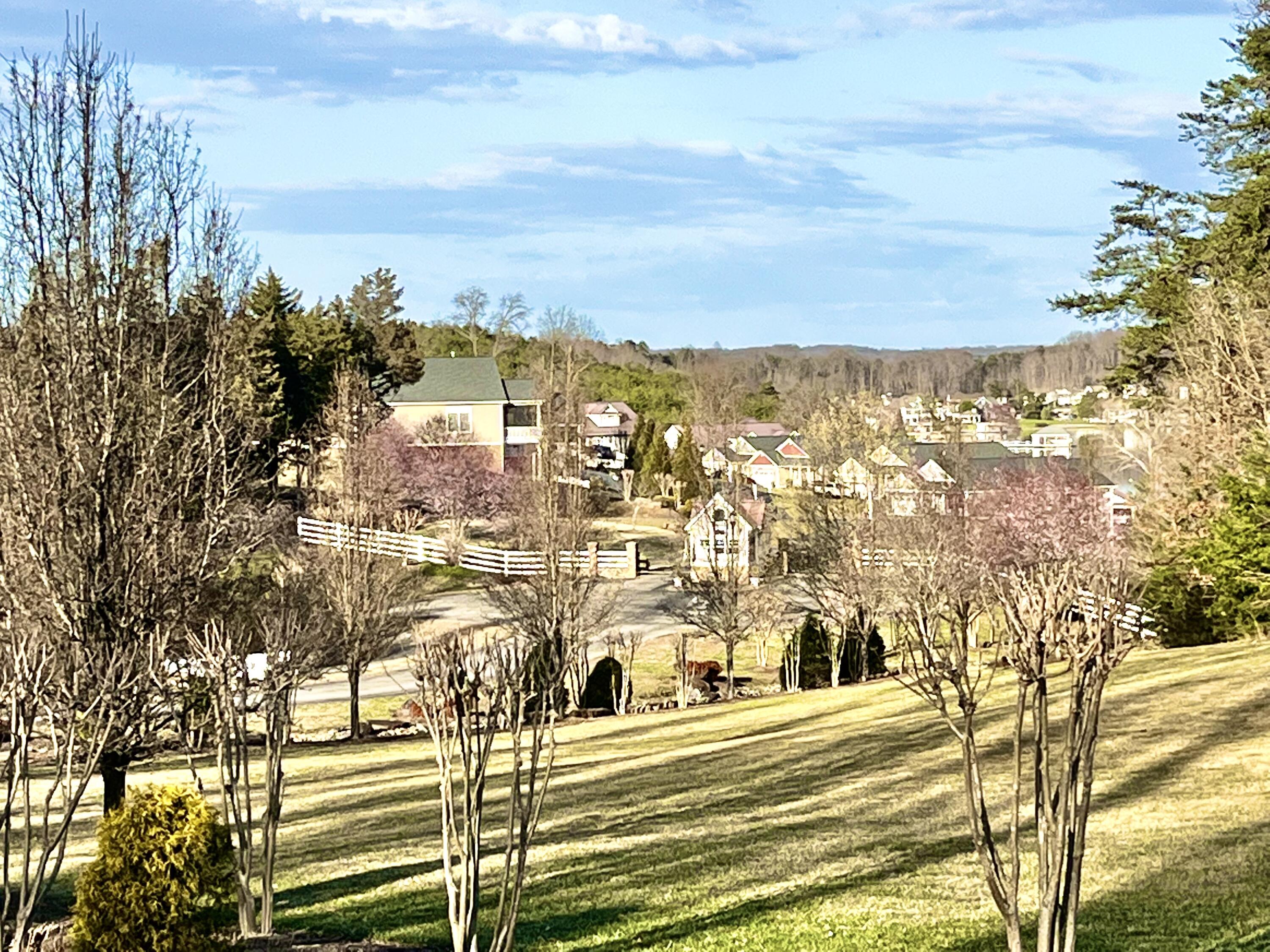 Lot 21 Diamond Ridge Lane Moneta, VA 24121 - Photo 4 of 44 020 View of Emerald Bay from Entrance